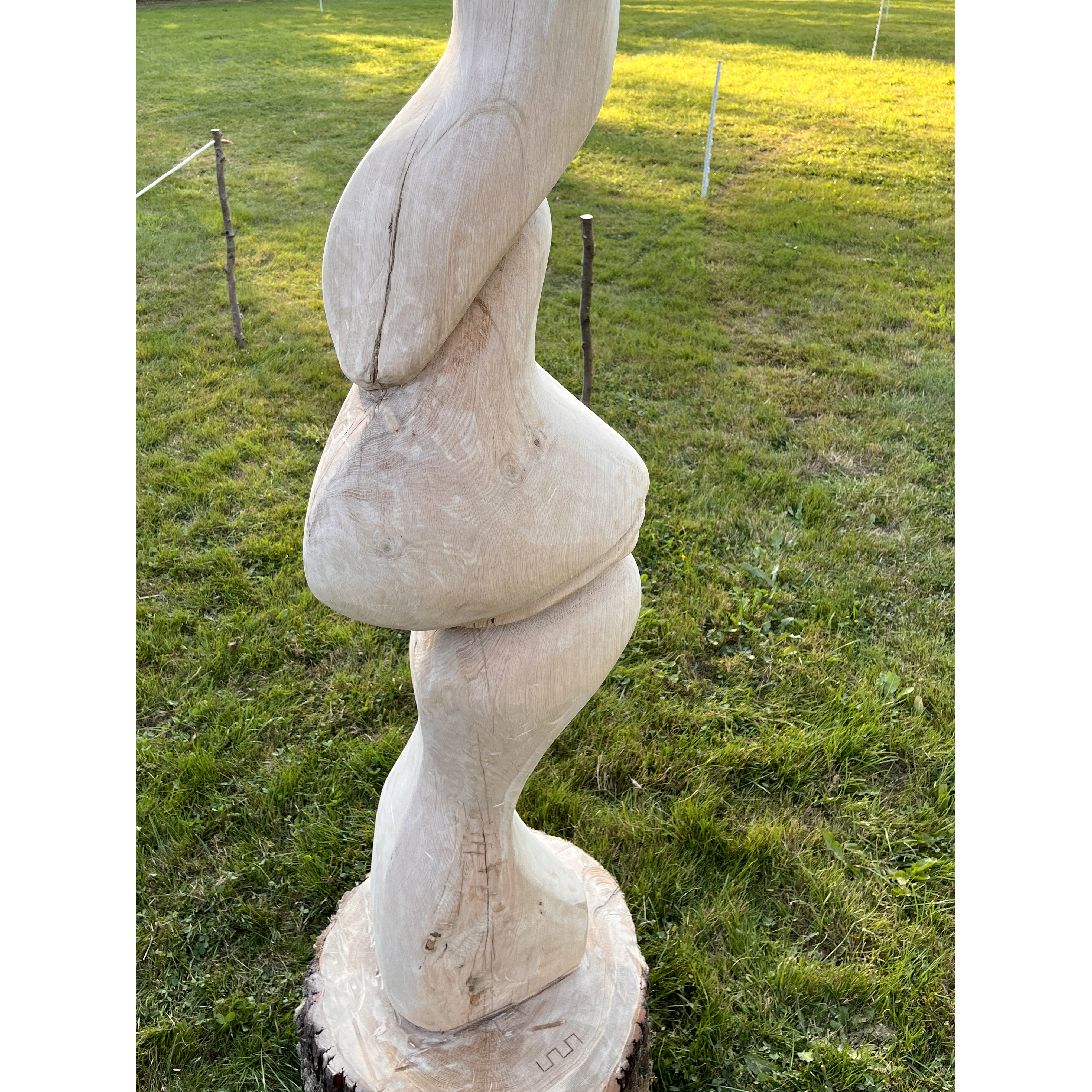 2025/Form in Flux/Wood