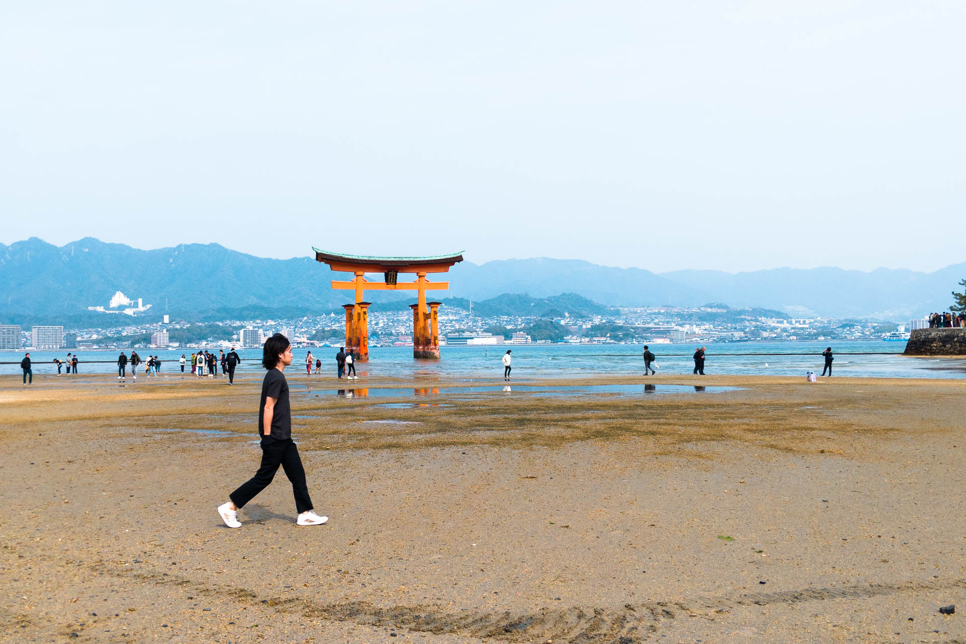 &bull; miyajima