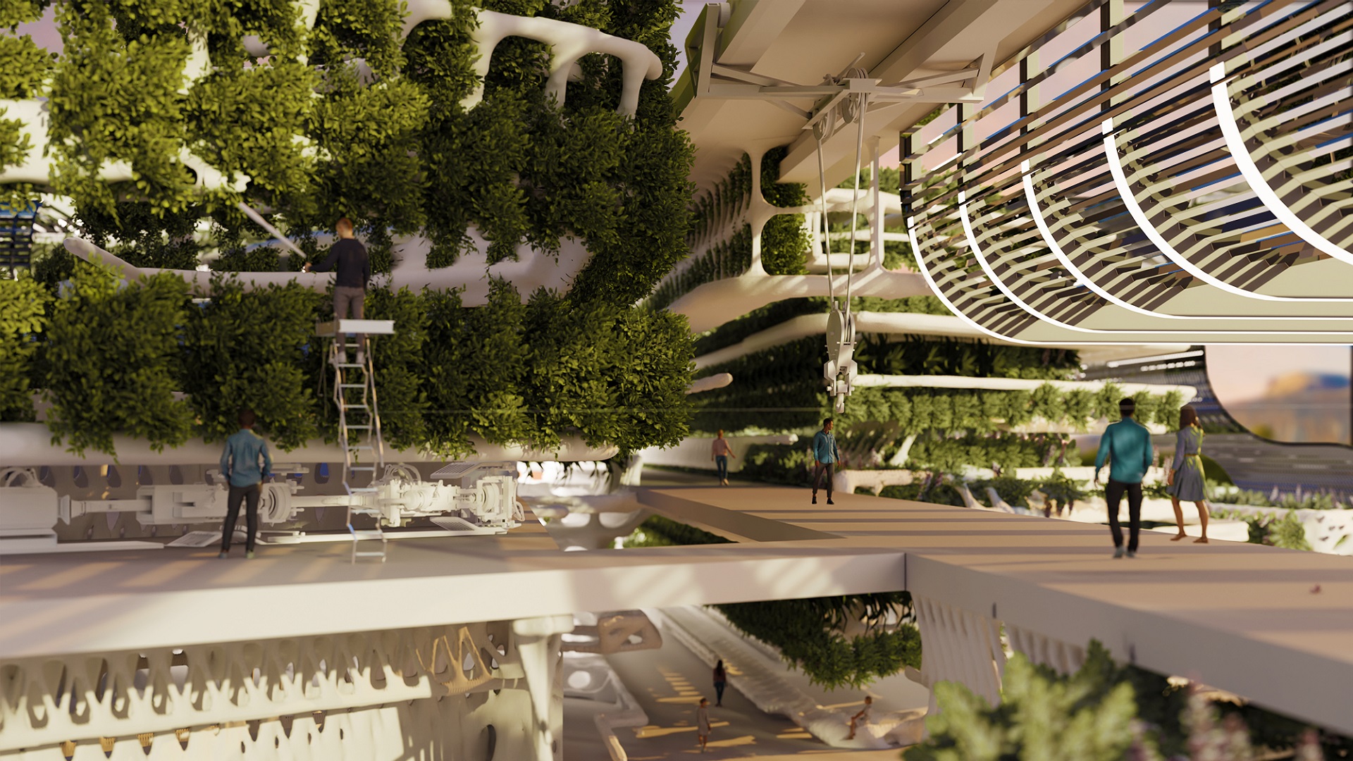 Hydroponics interior