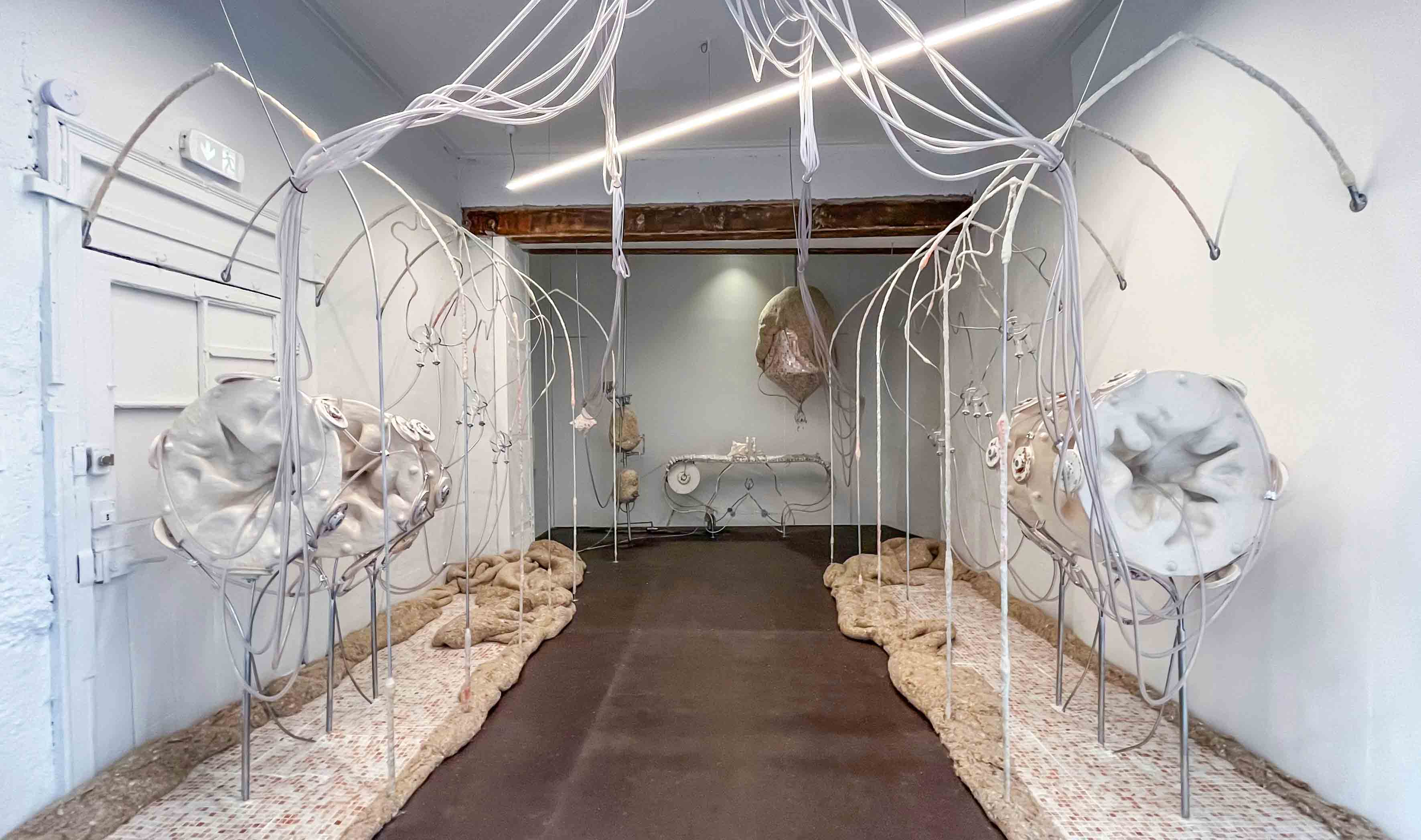 PERMANENTE INSTANCE by ANAIS GAUTHIER at SCROLL GALERIE [from 20240607 to 20240928] [Photo: Gregg Behin]