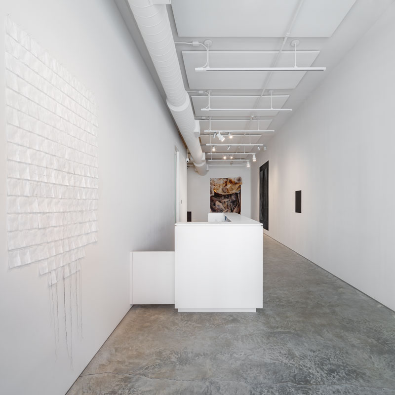 Amina Ahmed, Pondering the Fish, 2019, a drawing on site: graphite, paper, cotton thread, copper, light, mirror, water, shadow, paint.  Photo credit: Rafael Gamo.