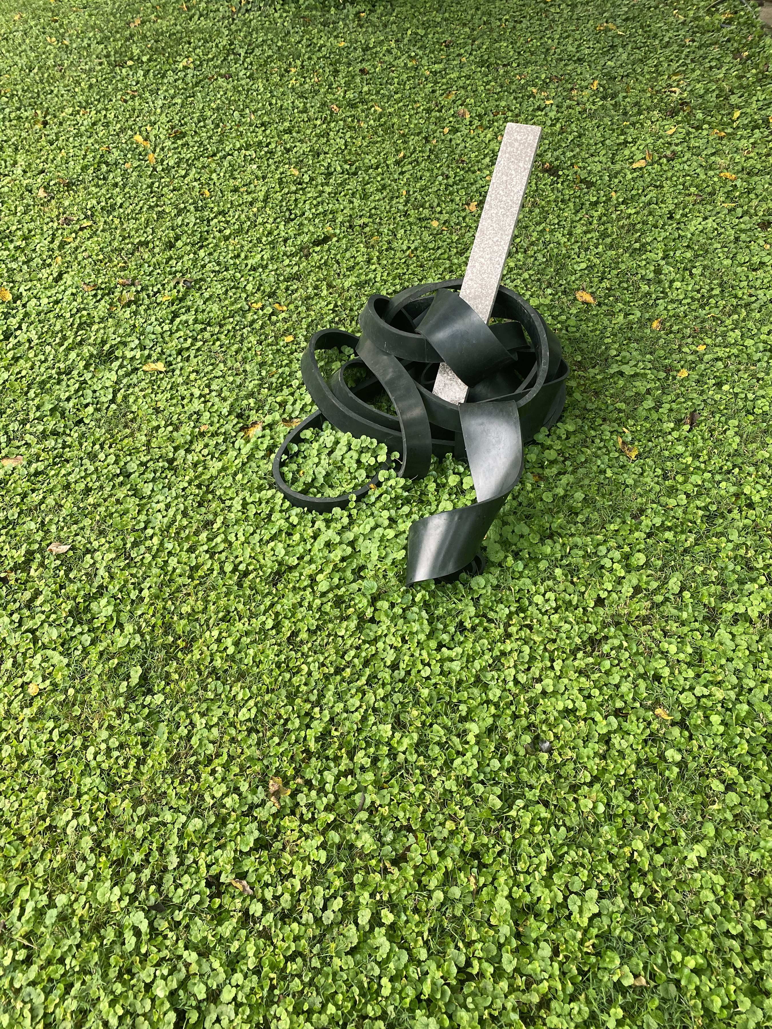 A strip of thick, shiny rubber, probably 5-6 inches wide, and multiple yards long, is coiled up like a ribbon on a sea of short, clover-filled grass, and wrapped around a rectilinear piece of stone, emerging from the ground.