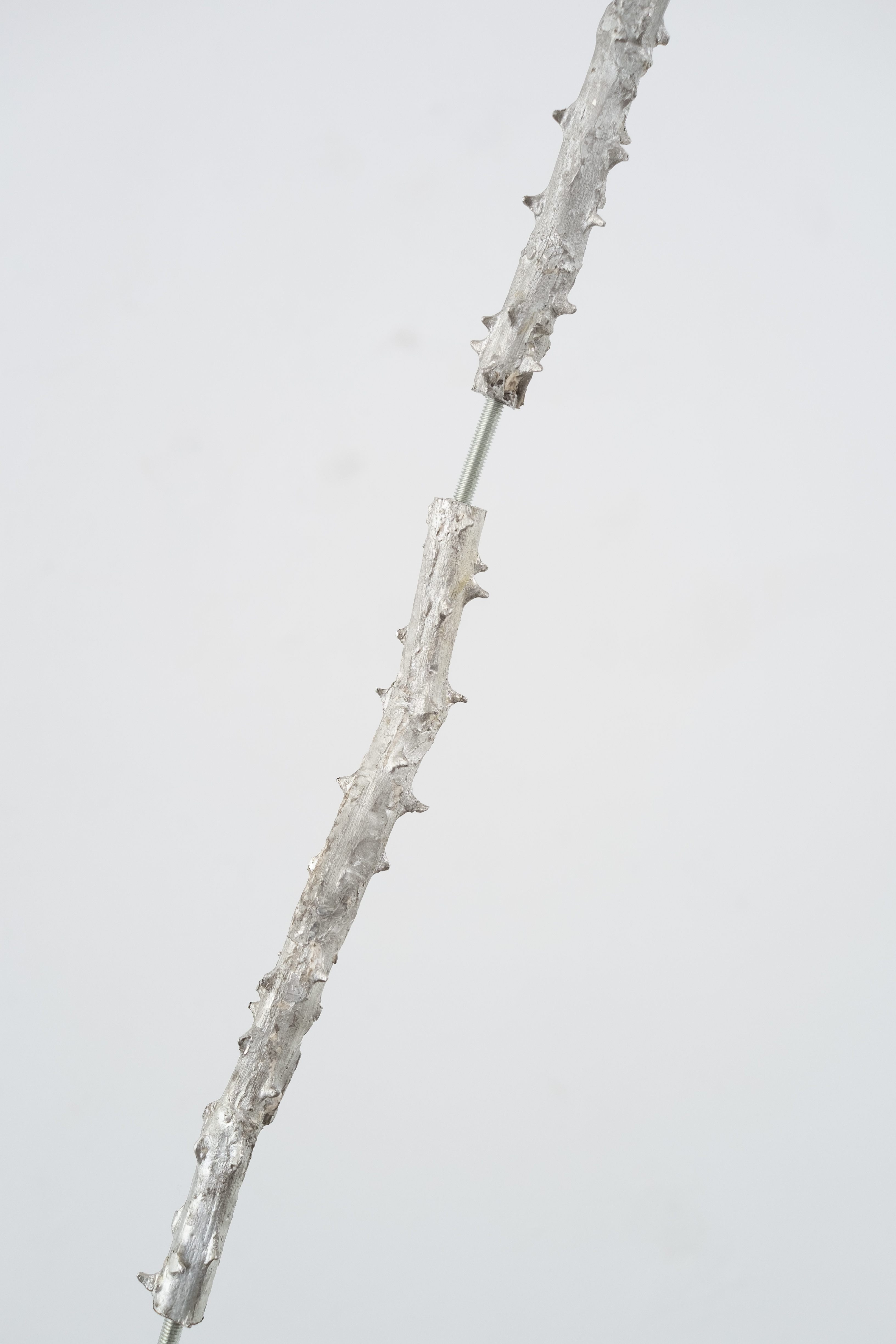 Sharpen your claws, detail. Jasmine Pajdak