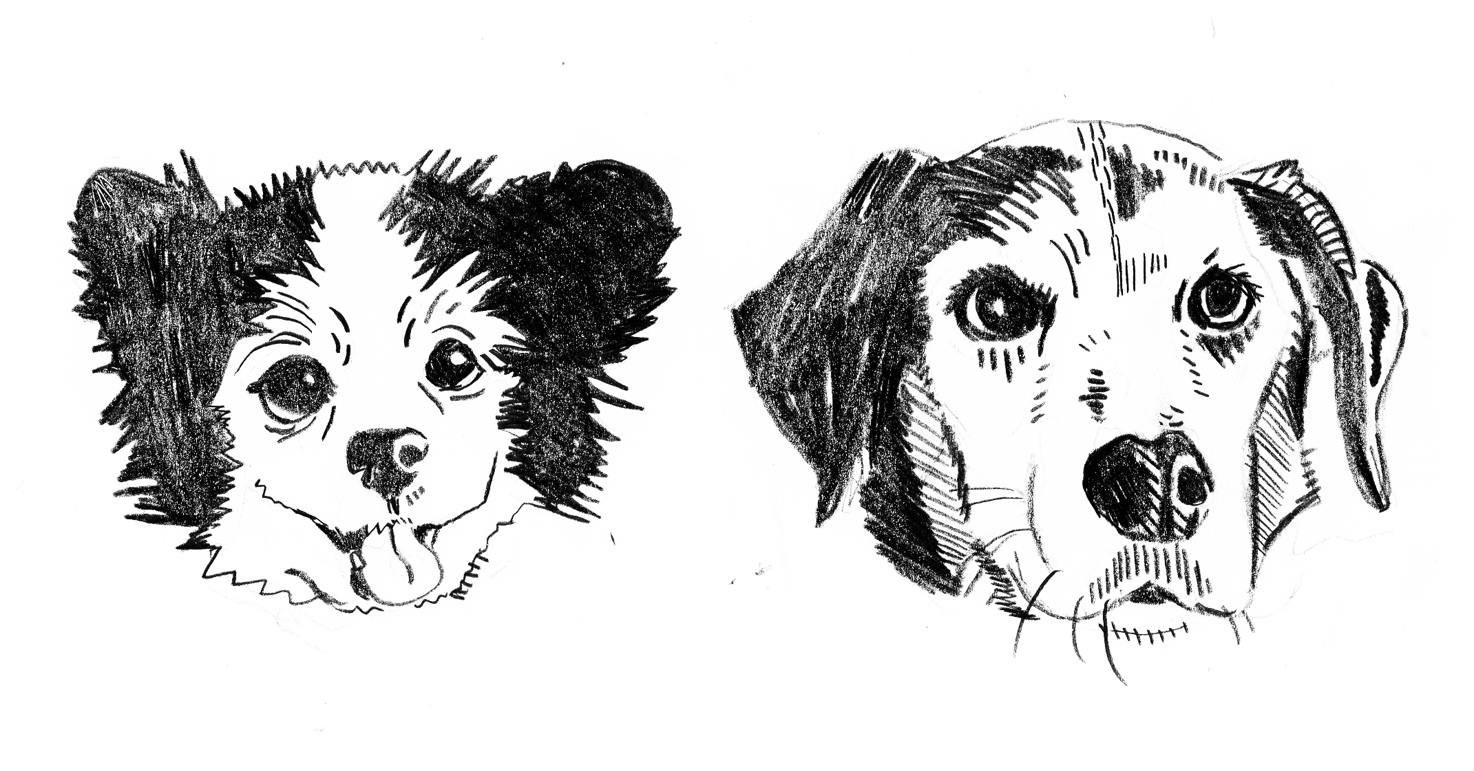 snoop and mia 2024 graphite