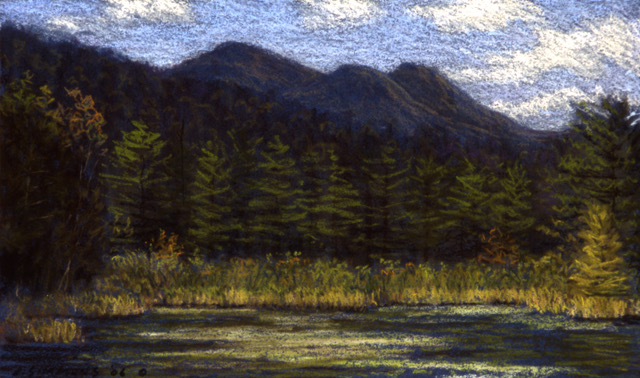 P1.51 - The Brothers, Adks.