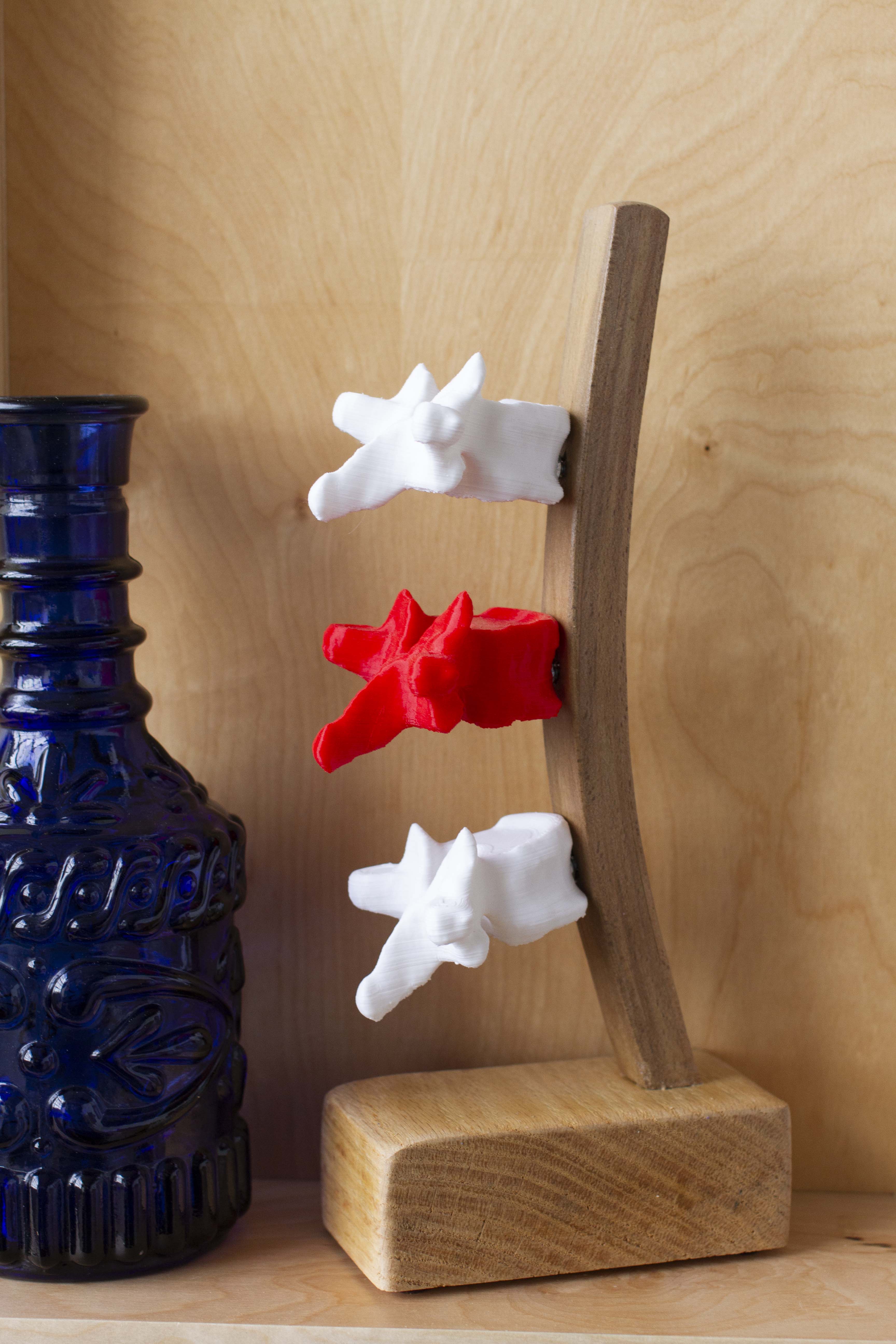 A Sort of Expansion of Being That Life Curbs and Caution Arrests, detail