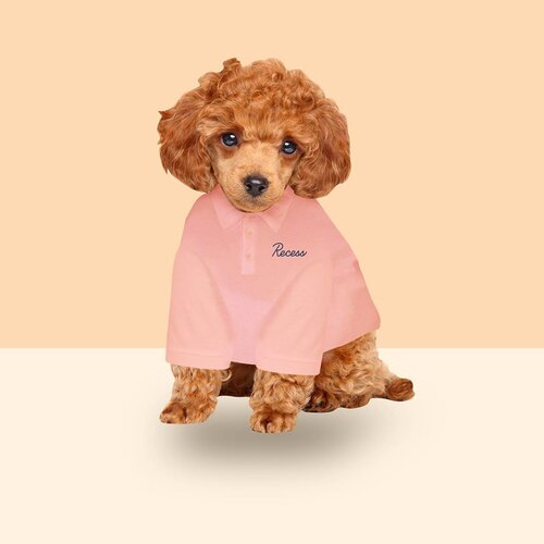 we accidentally put our new human merch in the dryer. now it’s small dog merch