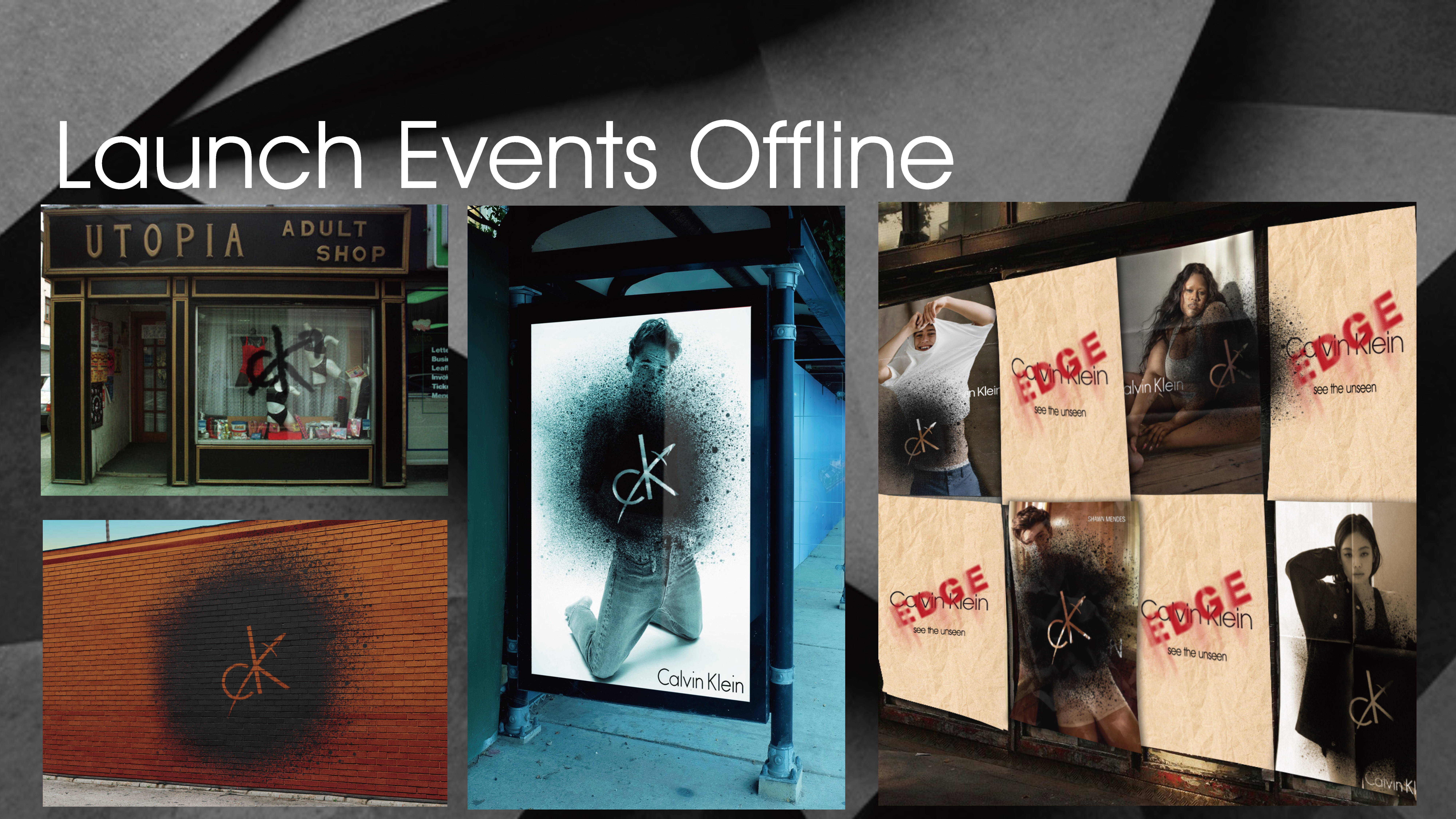 Calvin_Klein_Modeling_Campaign.pdf 