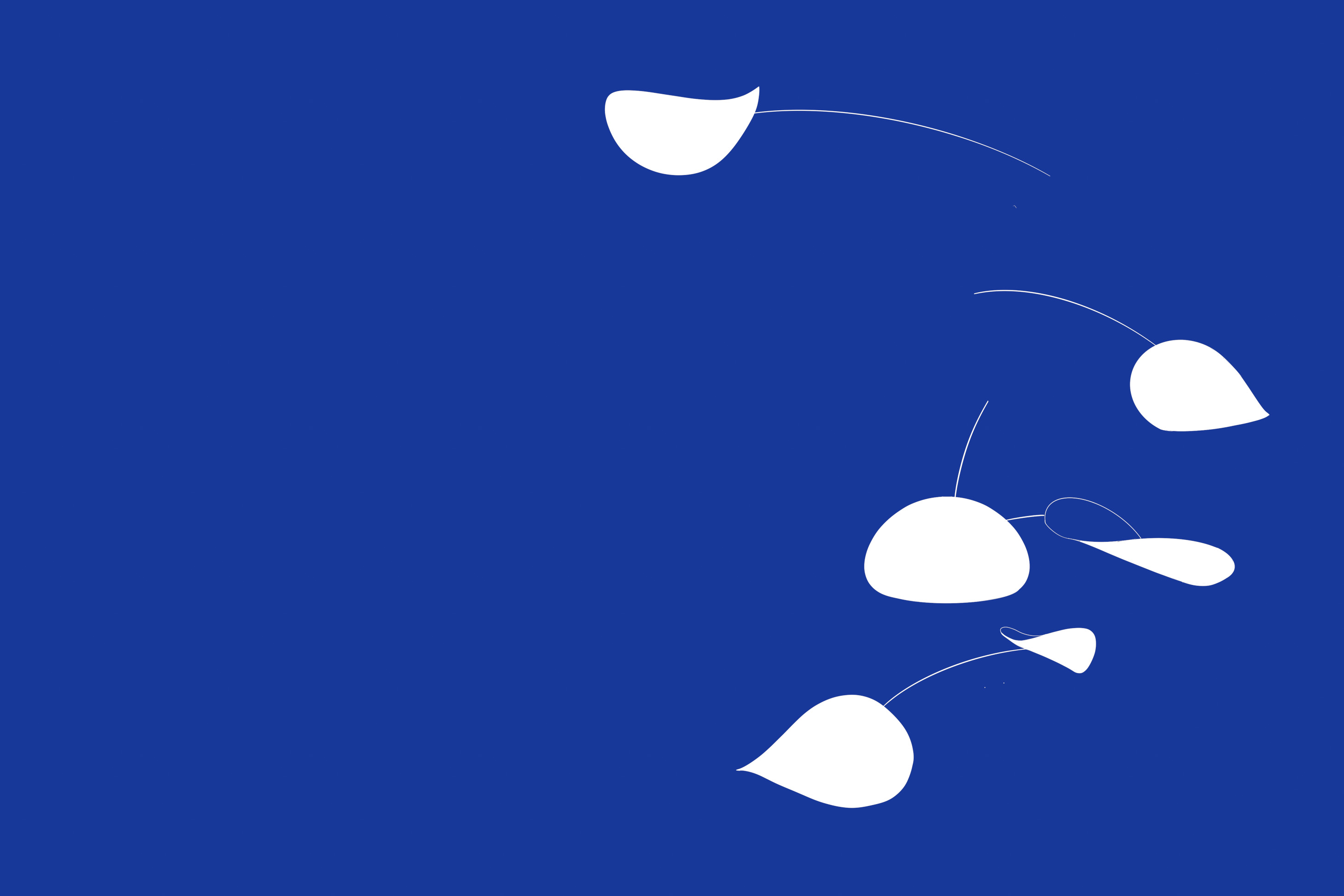 a thousand words over   editorial illustration . graphic visualisation . data art 