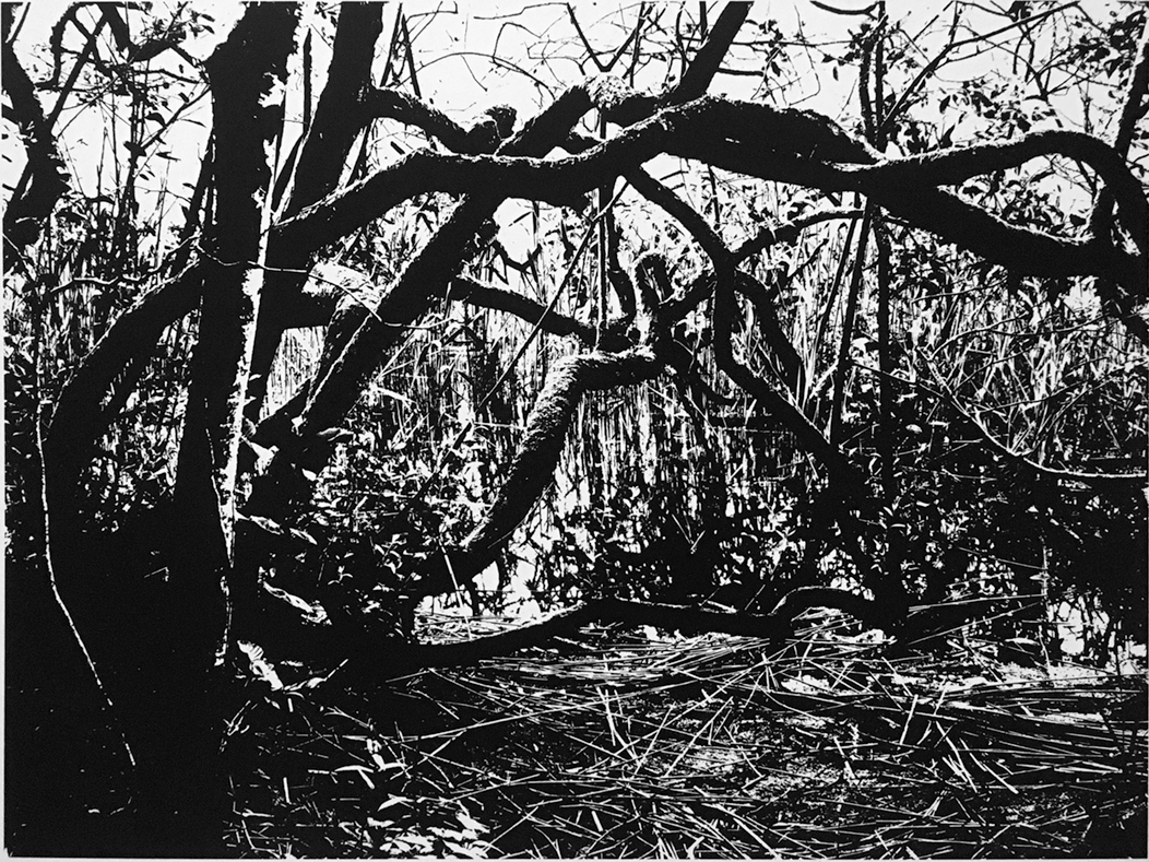 All Beauty Must Die (II)Patrícia Almeida