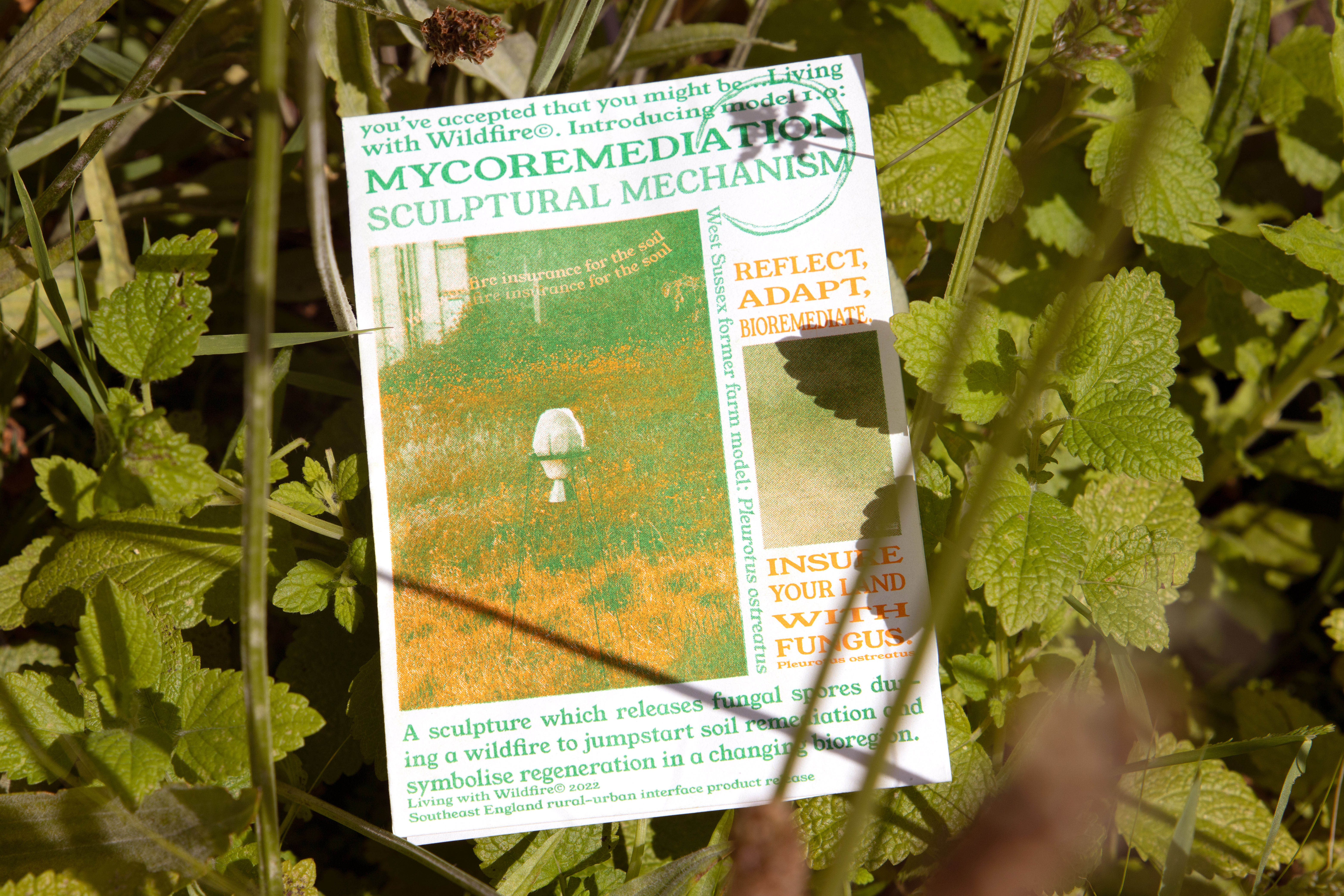 the risograph-printed leaflet: "Reflect. Adapt. Bioremediate."