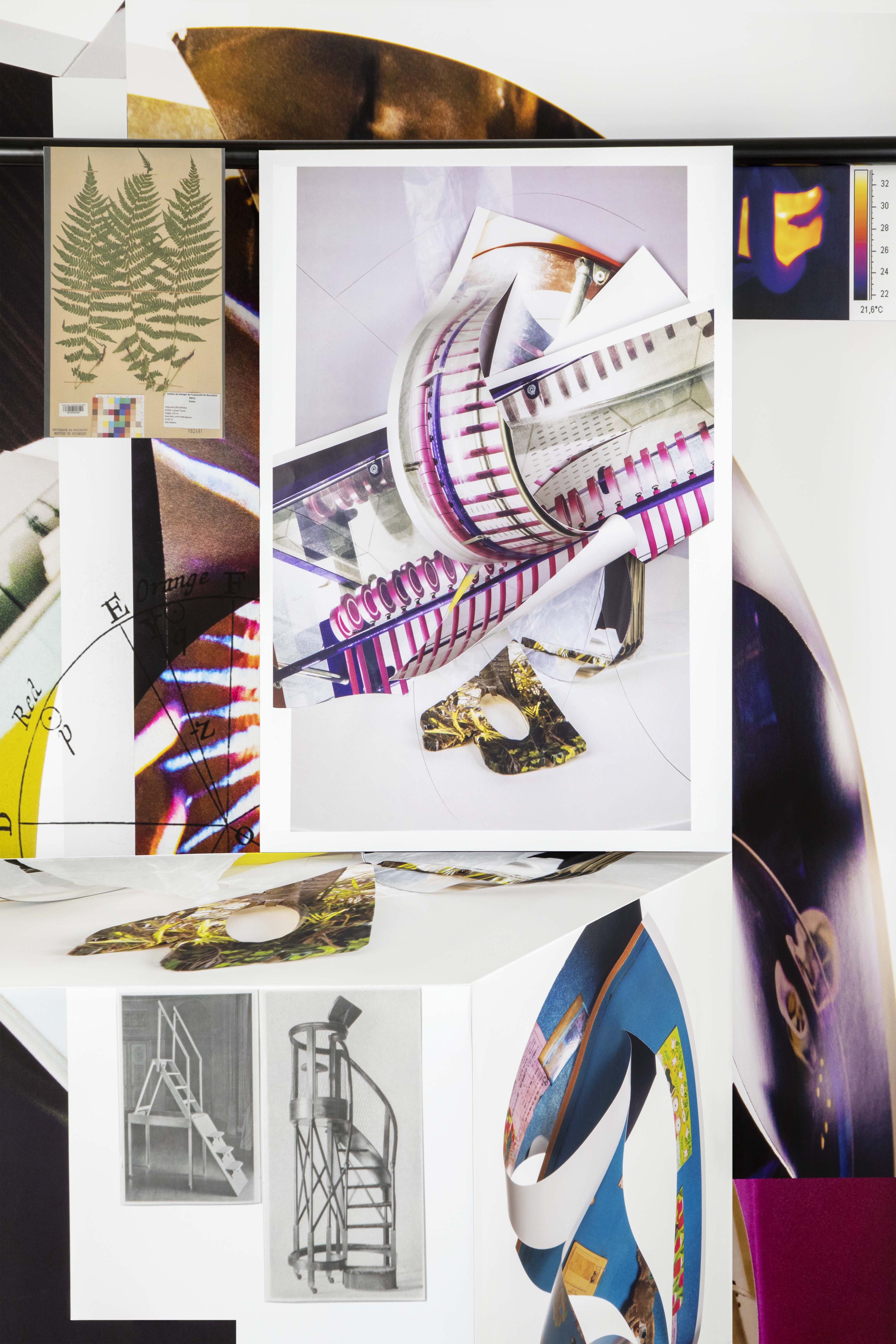 Softly Amorphous (thermogram, library steps, marine creature, conductive circuit demonstrator), 2023