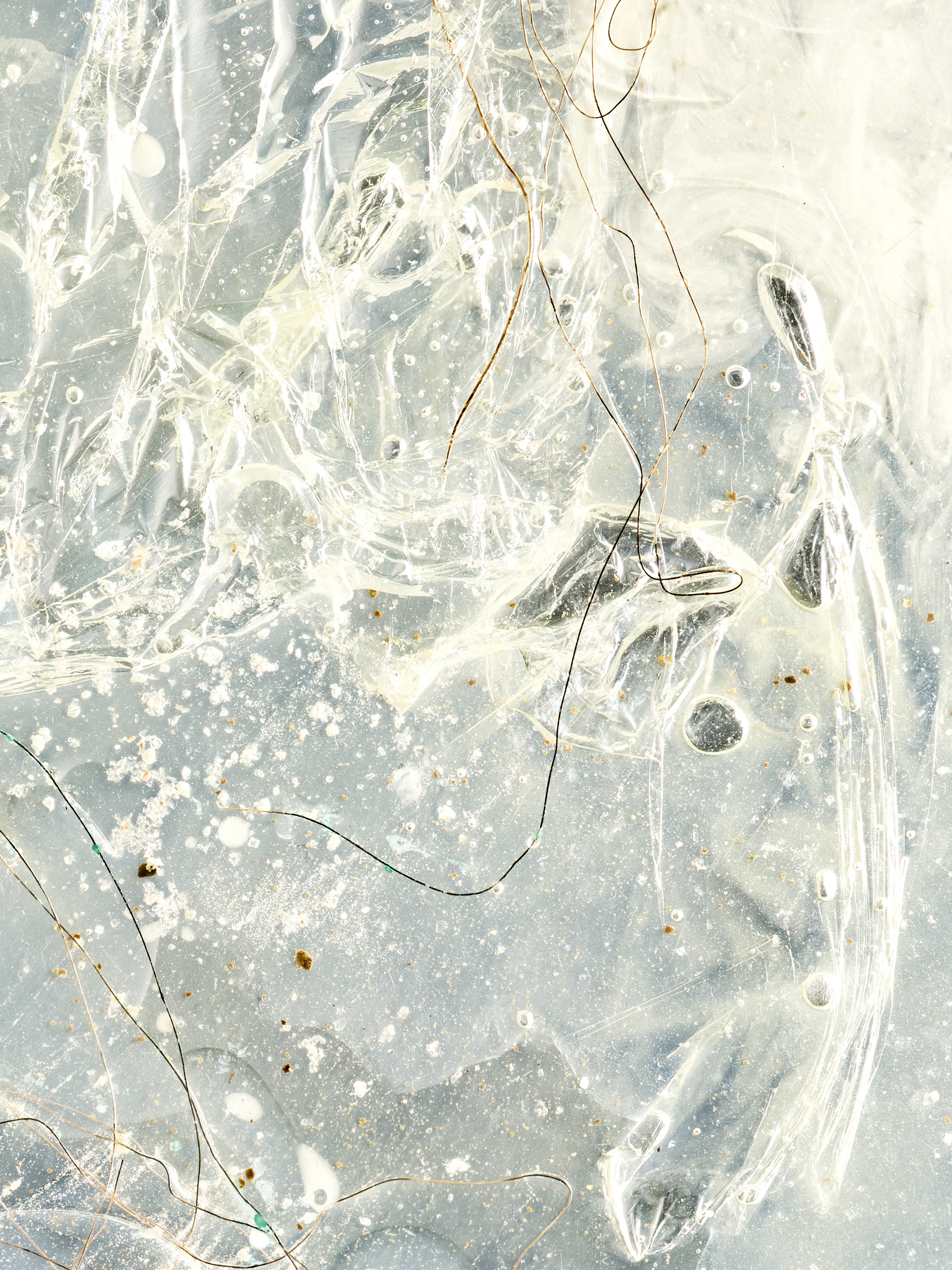 Detail of WIP 2023, Digital C-type print, 120cm x 90cm   silicone, electrical copper wire, powder pigments, salt,   soil, protein powder, iron and vitamin B12 