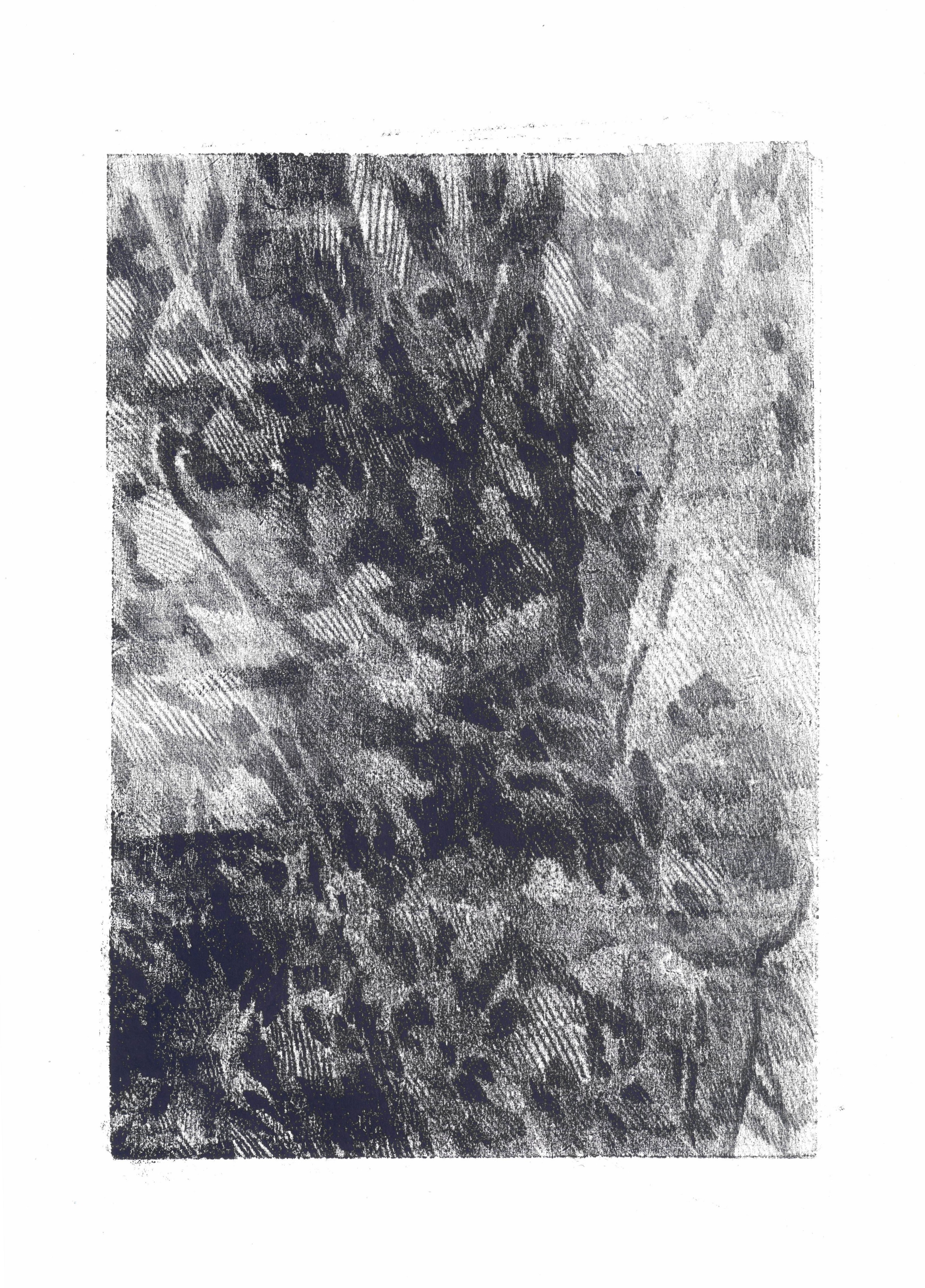 Shadows of plants, monoprint on paper