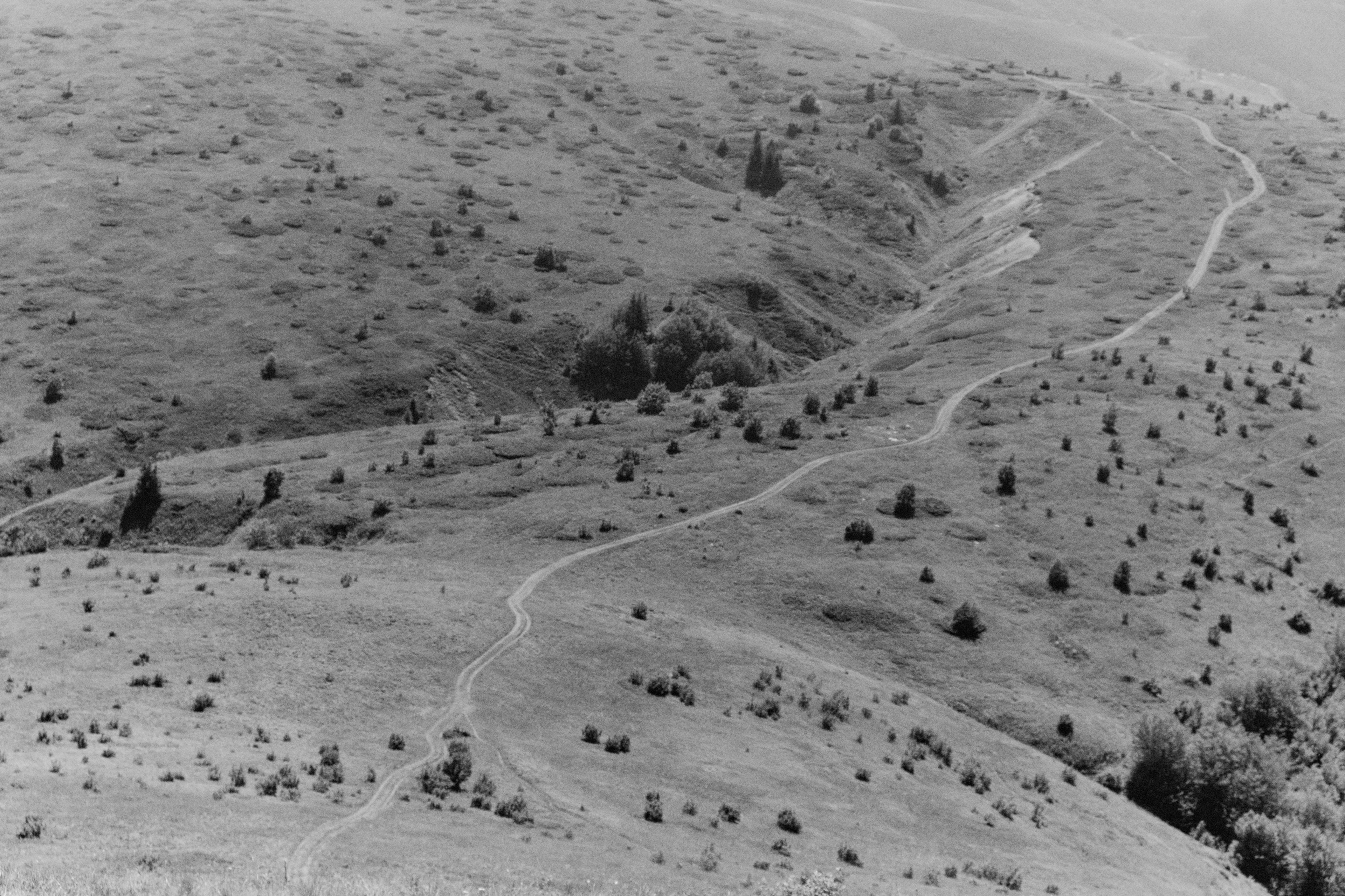 FV_Series_004_IMG_01_Wanderlust