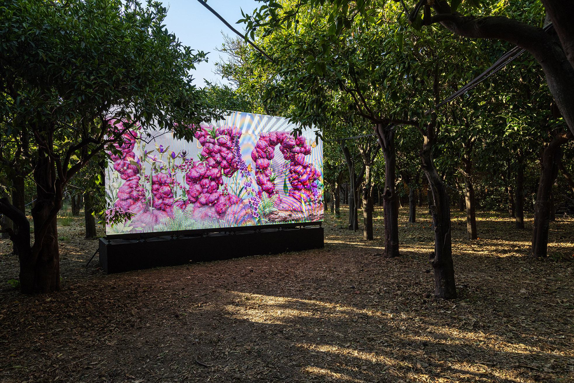 Theo Triantafyllidis, BugSim (Pheromone spa), 2022, ONCE WE WERE GARDENS exhibition, 2025, DEO, Karavas Estate,Kampos, Chios Island, Greece, courtesy of the artist and The Breeder Gallery, photo: Nikos Alexopoulos