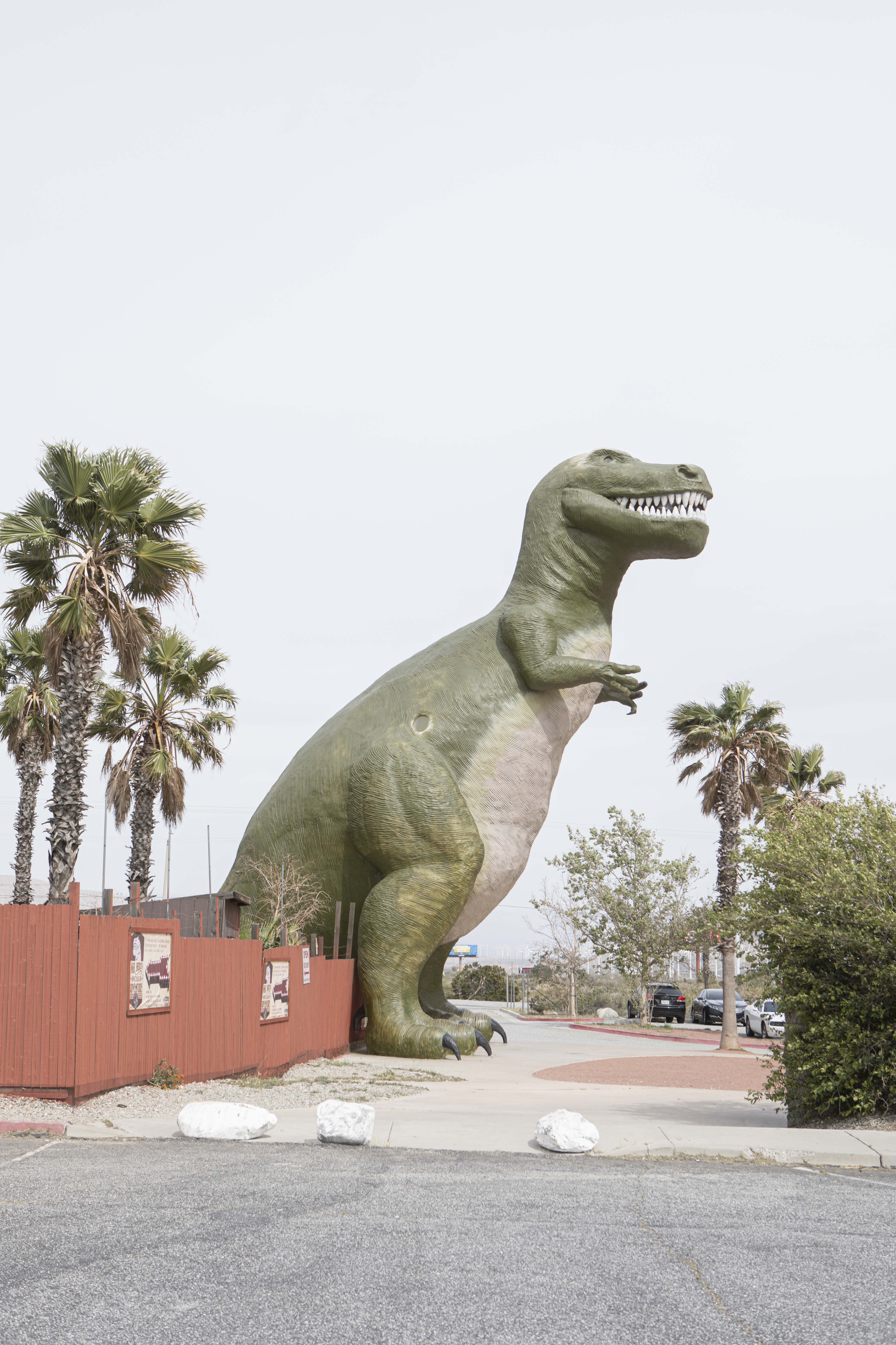 RAF FELIPE RIBON SCENES OF AMERICA DESERTA PHOTOGRAPHY 