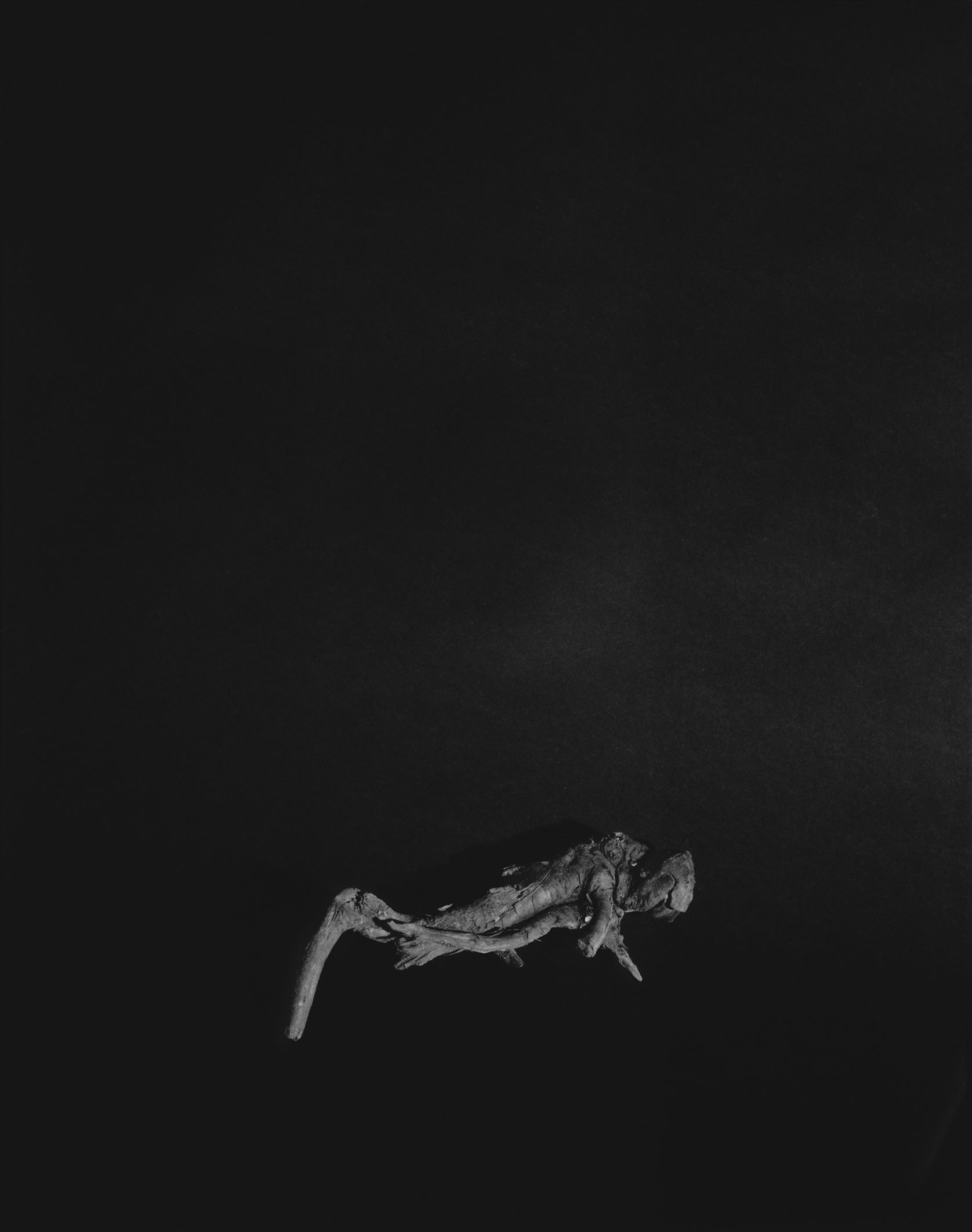 Untitled, archival pigment print, 200X150 cm