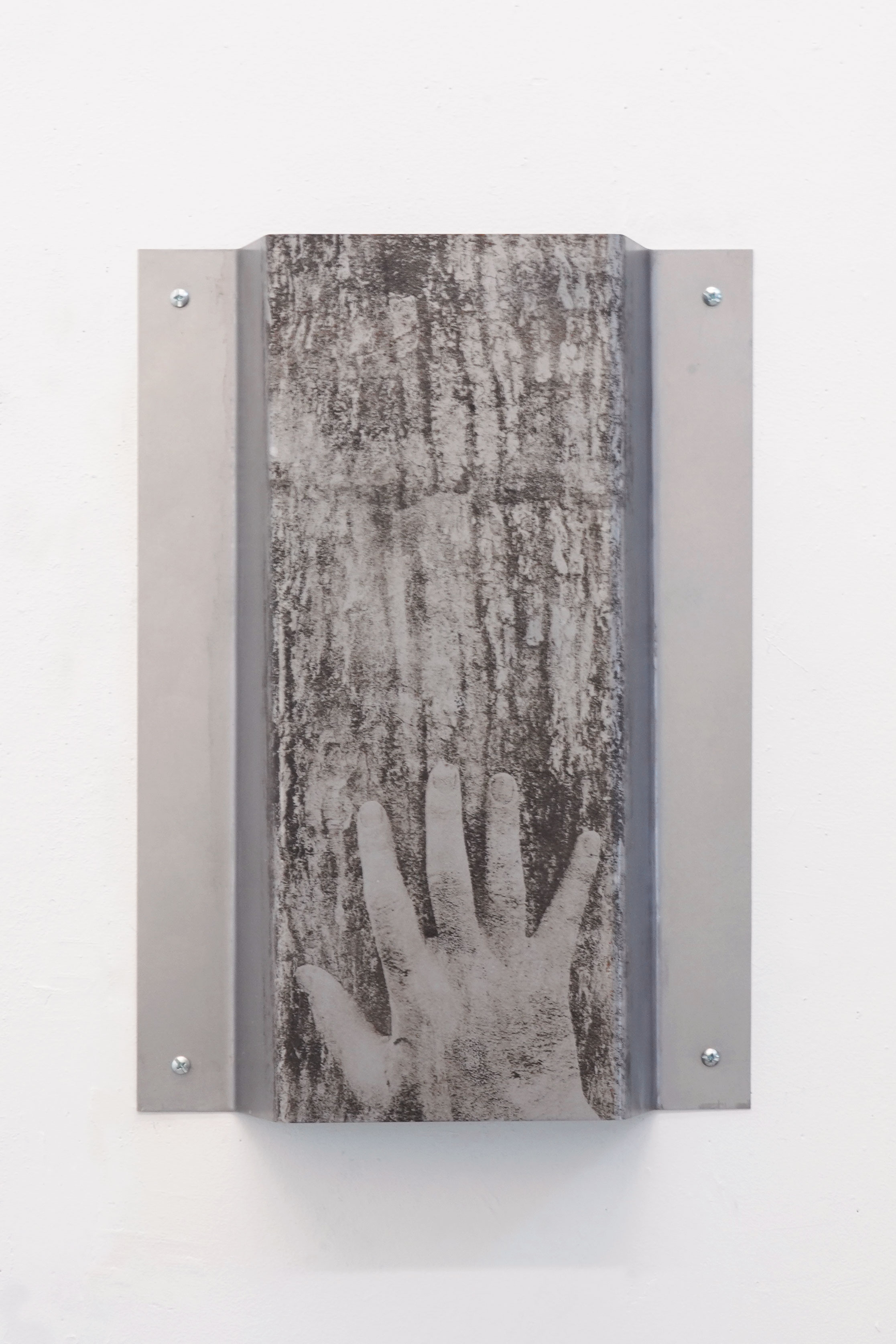 The World is Places (Black Ash Tree) / 2025 / Paper litho on steel, hardware / 20 x 24 x 4 inches