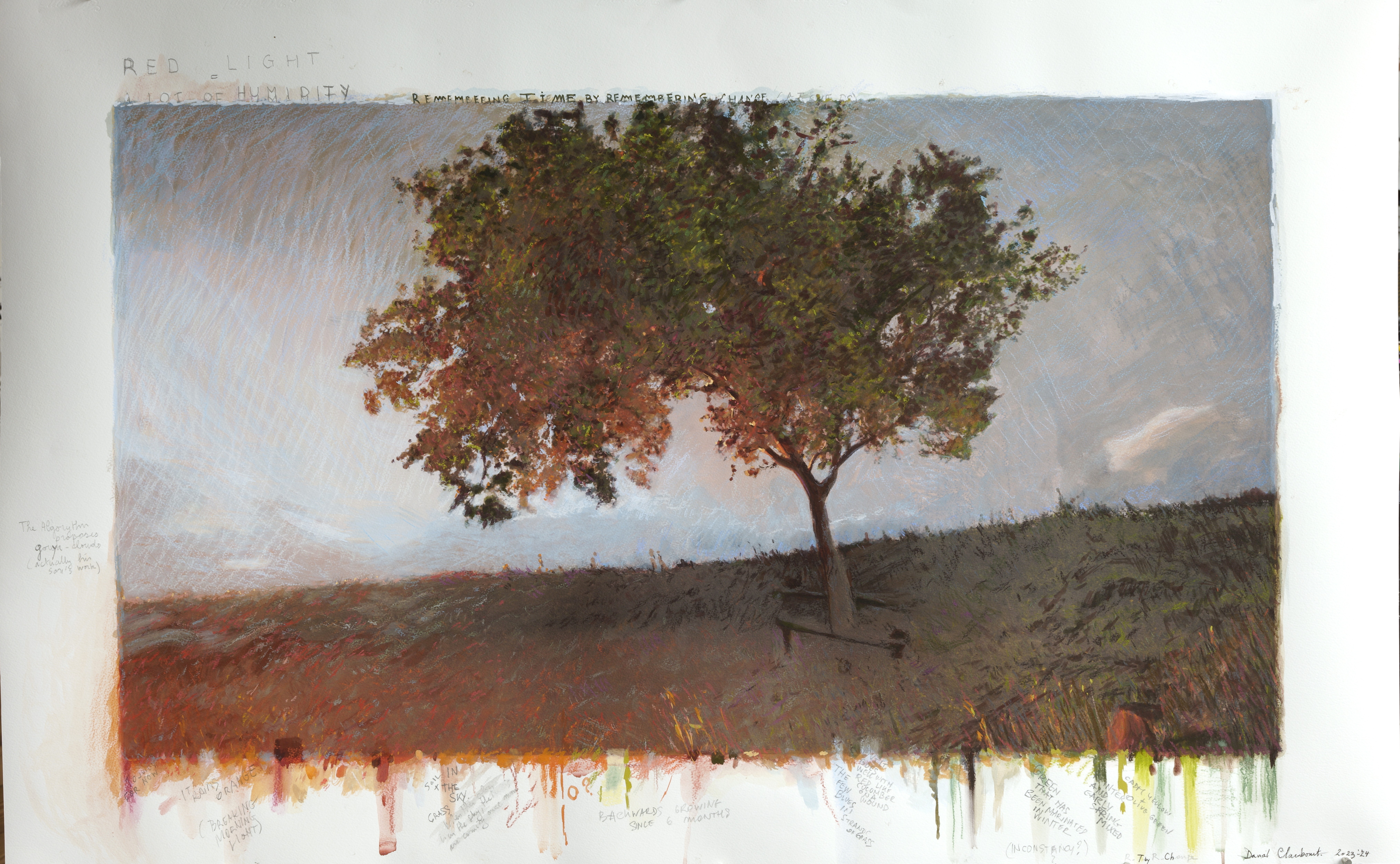 Backwards Growing Tree (R.T.R. Changes), 2024