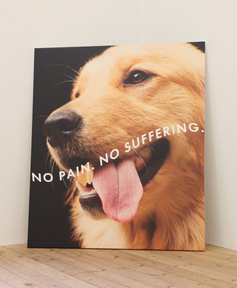 Untitled (No Pain No Suffering)