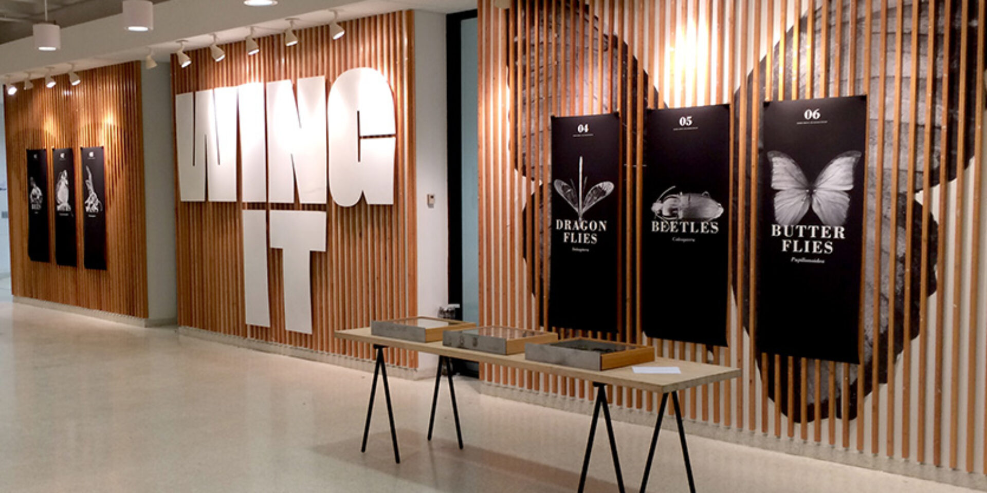 Wing It Exhibit Design