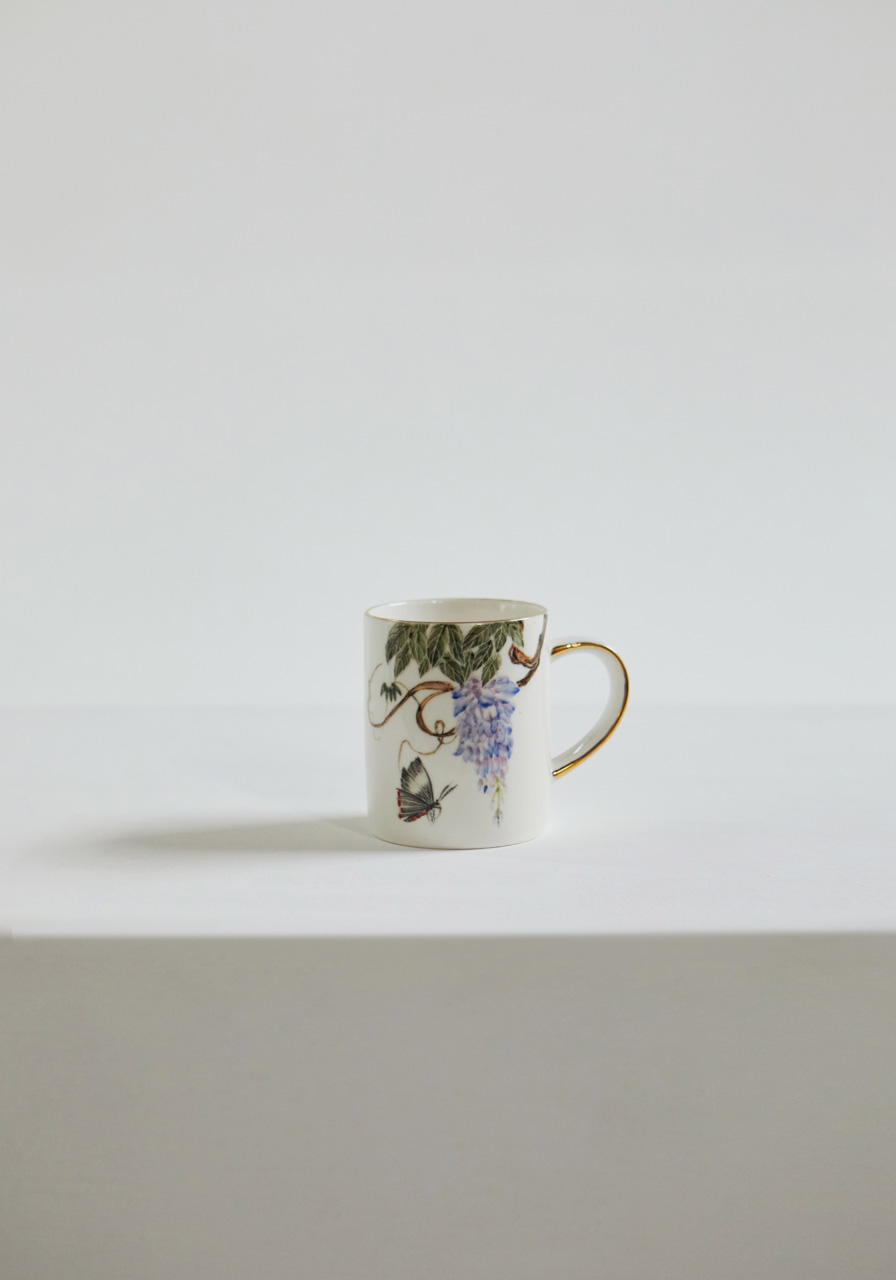 등나무꽃과  왕나비