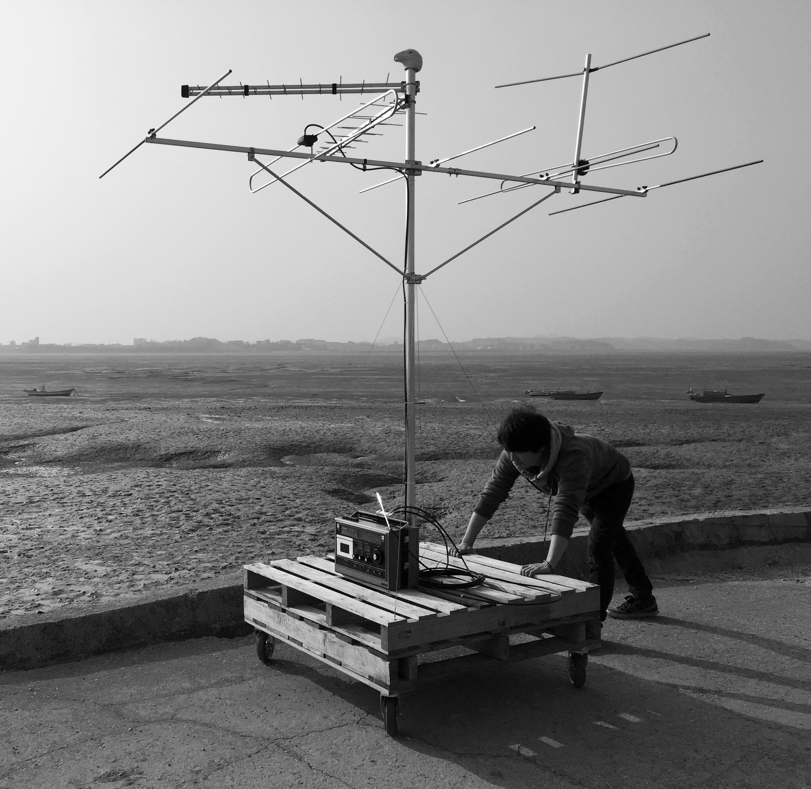 The Blanket area: Antenna bird /Wood, wheel, antenna, ceramic & sound system, Dimensions Variable, 2016 