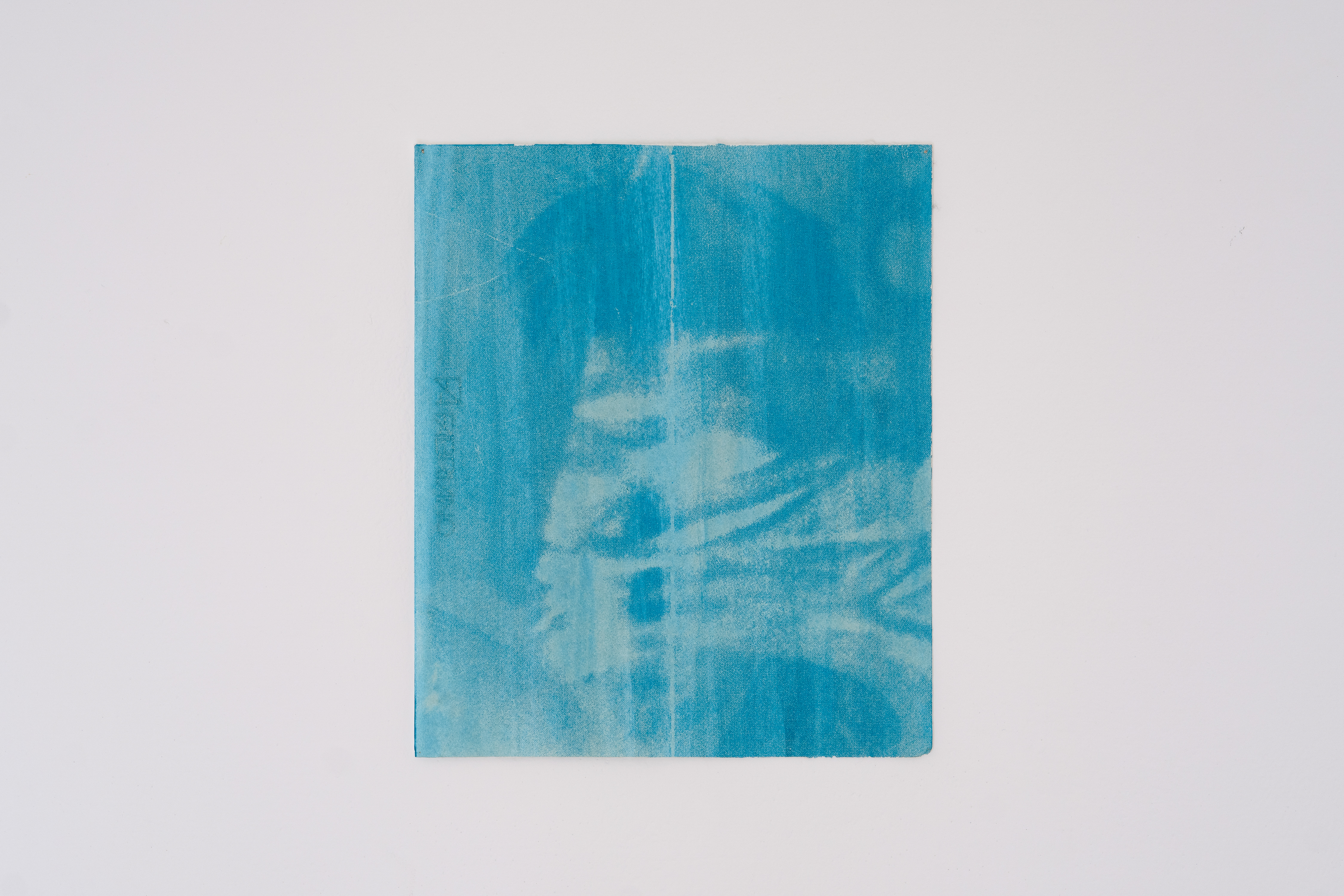 Untitled, 2022, Photopolymer Emulsion and Pigment on Paper, 29 x 36 cm.