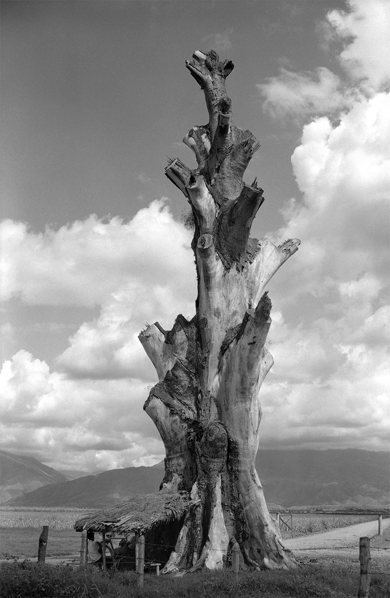 Naturaleza muerta196540 x 30 cmHahnemuhle Matt Fibre 200 grs.Ed.5 + P/A