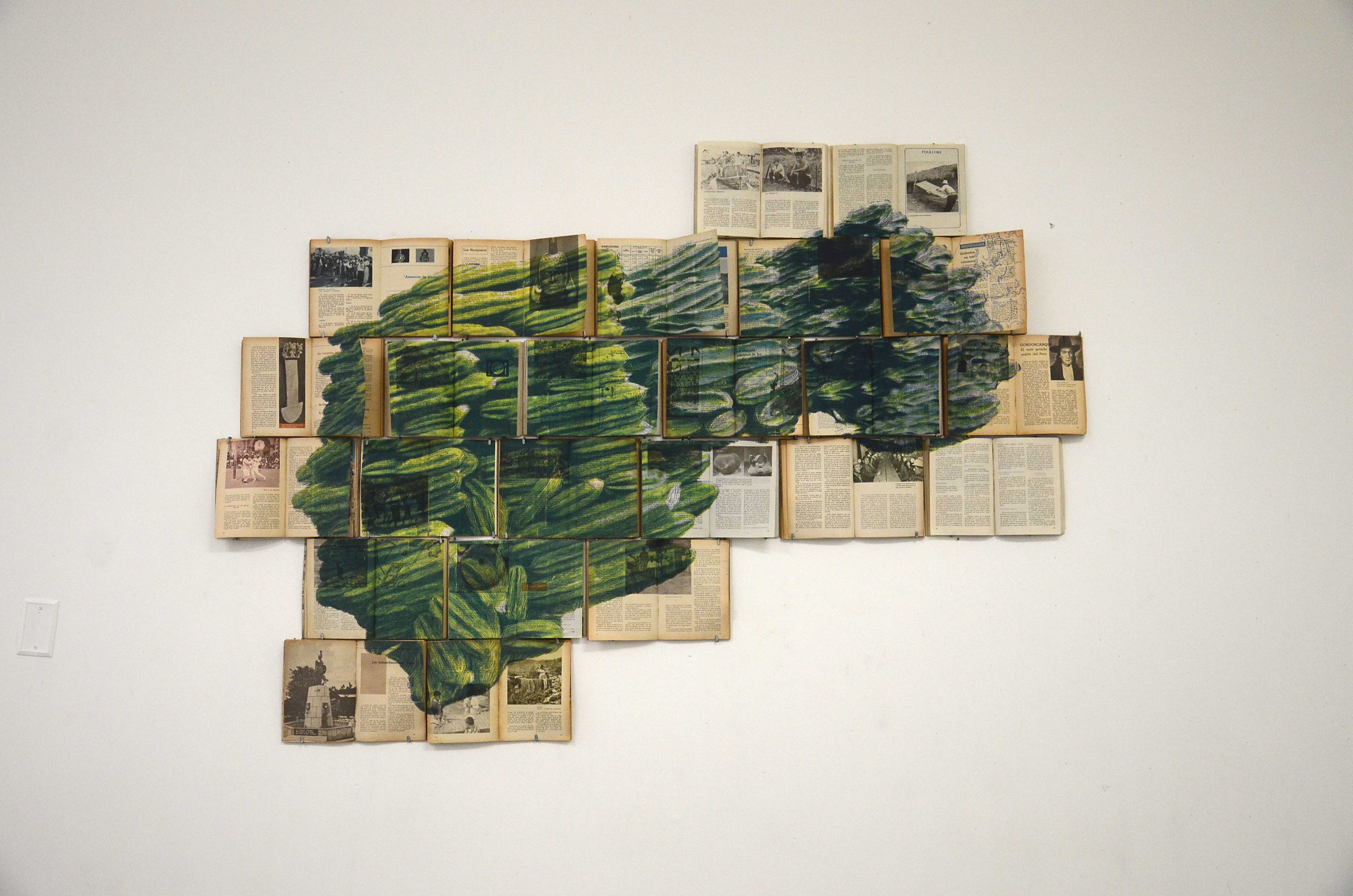 “Wachuma”, silkscreen on a 24-volume encyclopedic series, 130 × 190 cm 2015