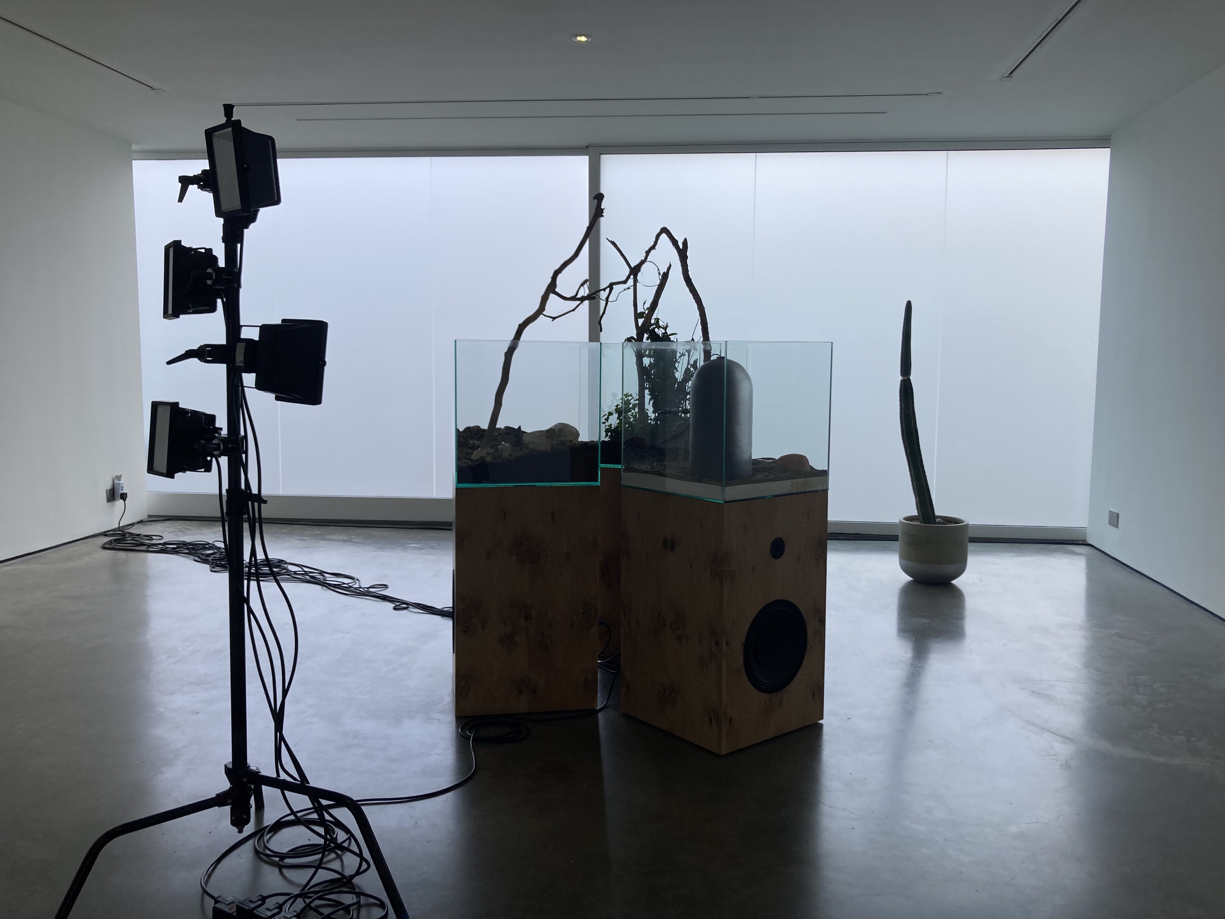 Haroon Mirza, |||, Lisson Gallery (2023)