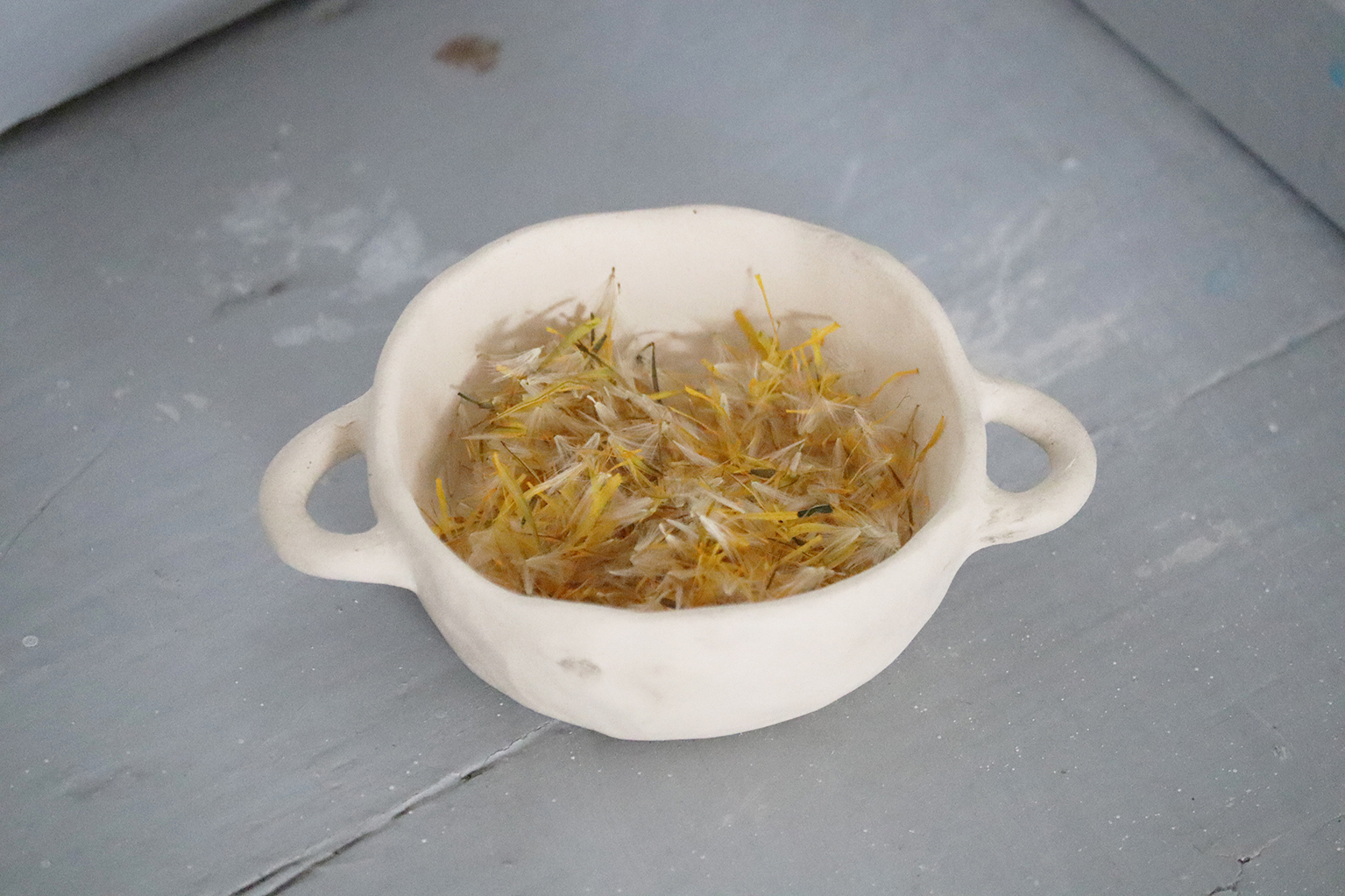 Offering (petals in a small two-handled pot), Dennise Vaccarello, 2025.