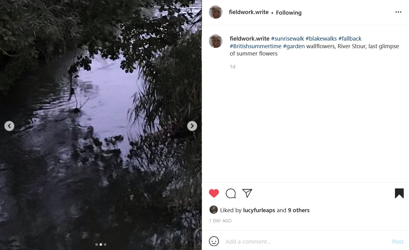 fieldwork.write Instagram post: foliage reflecting off the River stour in a close view. The text reads: fieldwork.write #sunrisewalk #blakewalks #fallback #Britishsummertime #garden wallflowers, River Stour, last glimpse of summer flowers