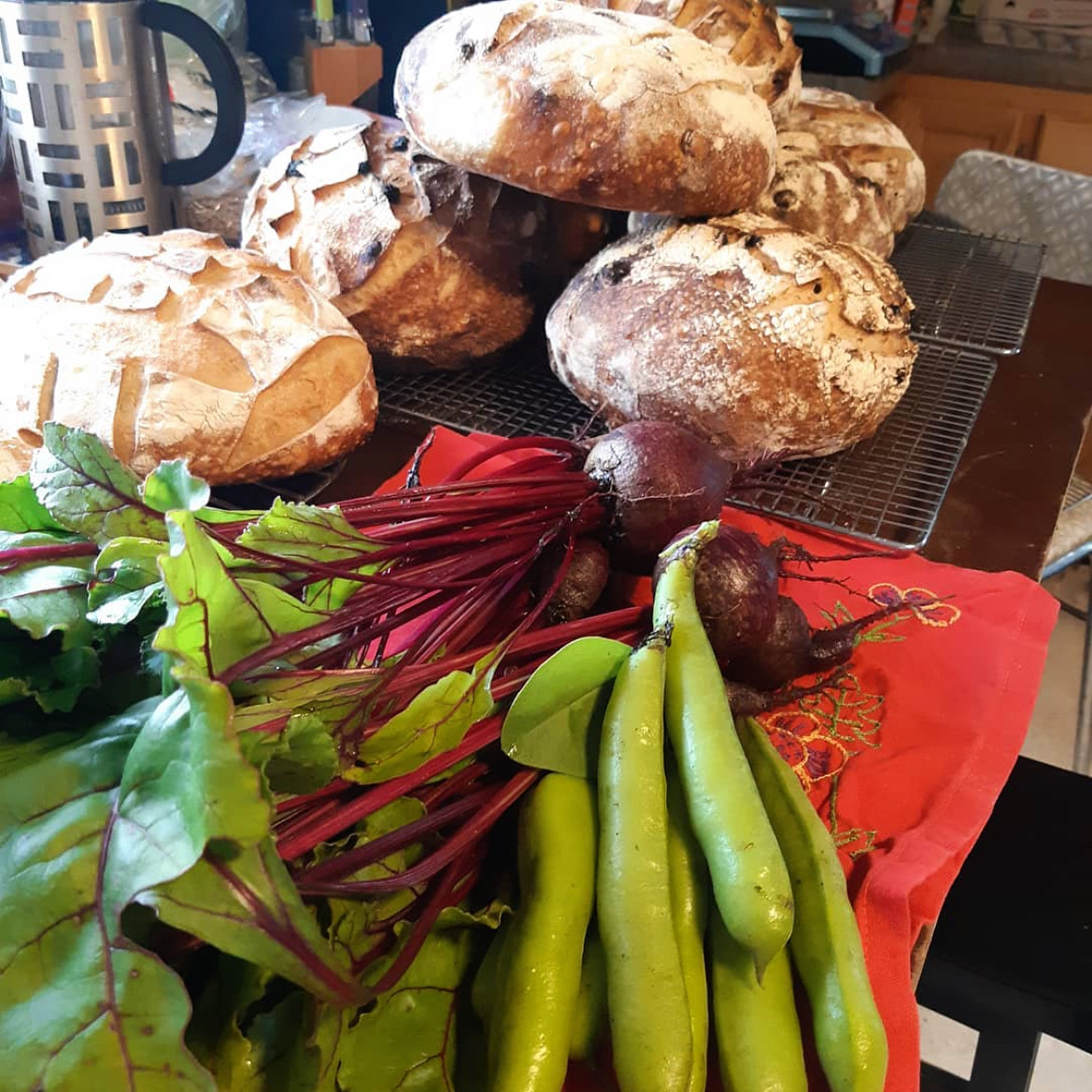 Between the Rocks Farm