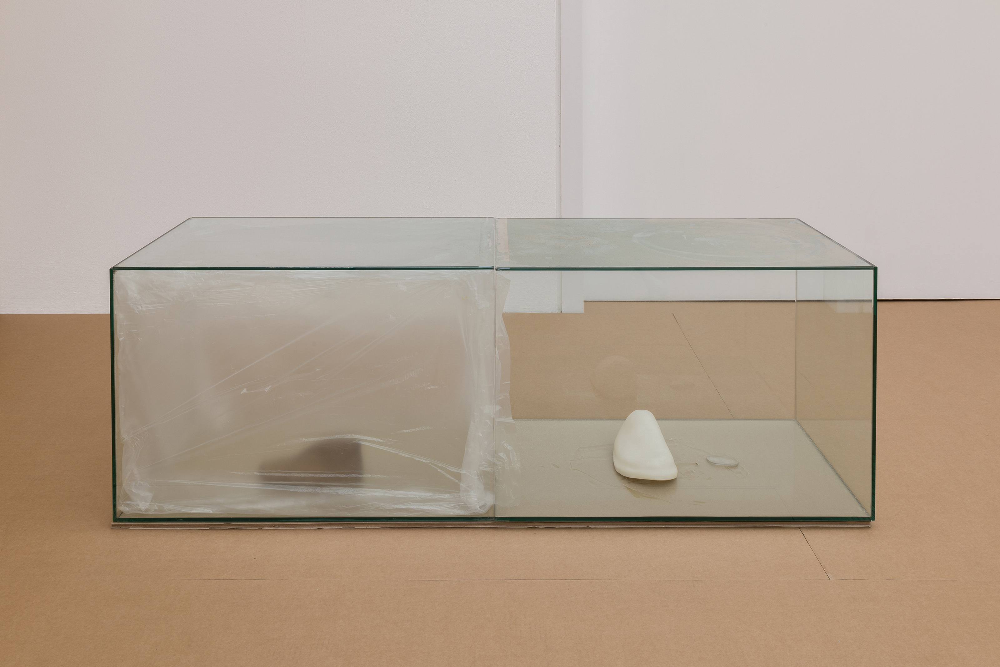 Variations of a Shoe (Clock), 2025. Reused glass vitrines, dust, fixative, plastic foil, tape, children-sized handmade wooden shoe last, air-dry porcelain, eyeglass lens from the artist's mother. 120 x 40 x 45 cm