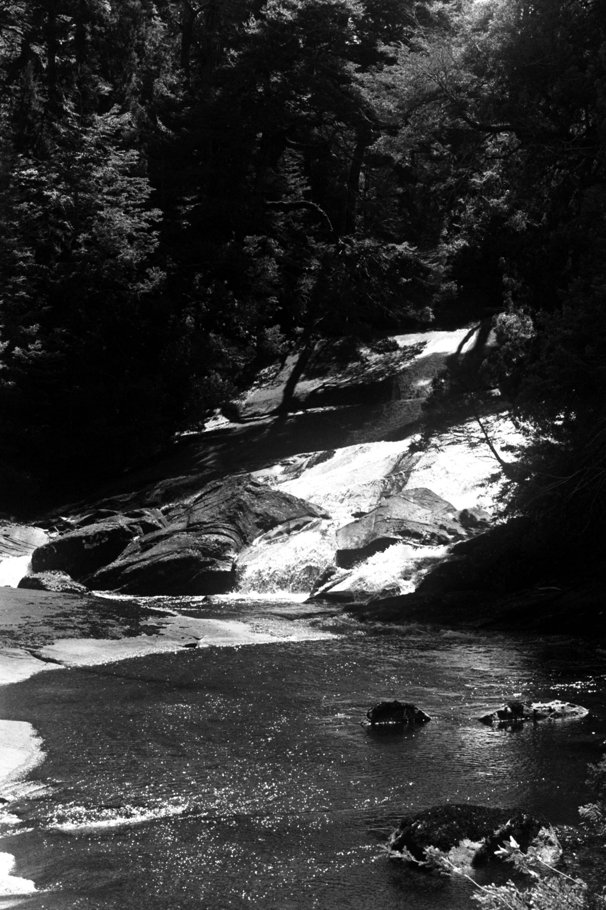 Patagonia, Argentina 2020 (35mm)