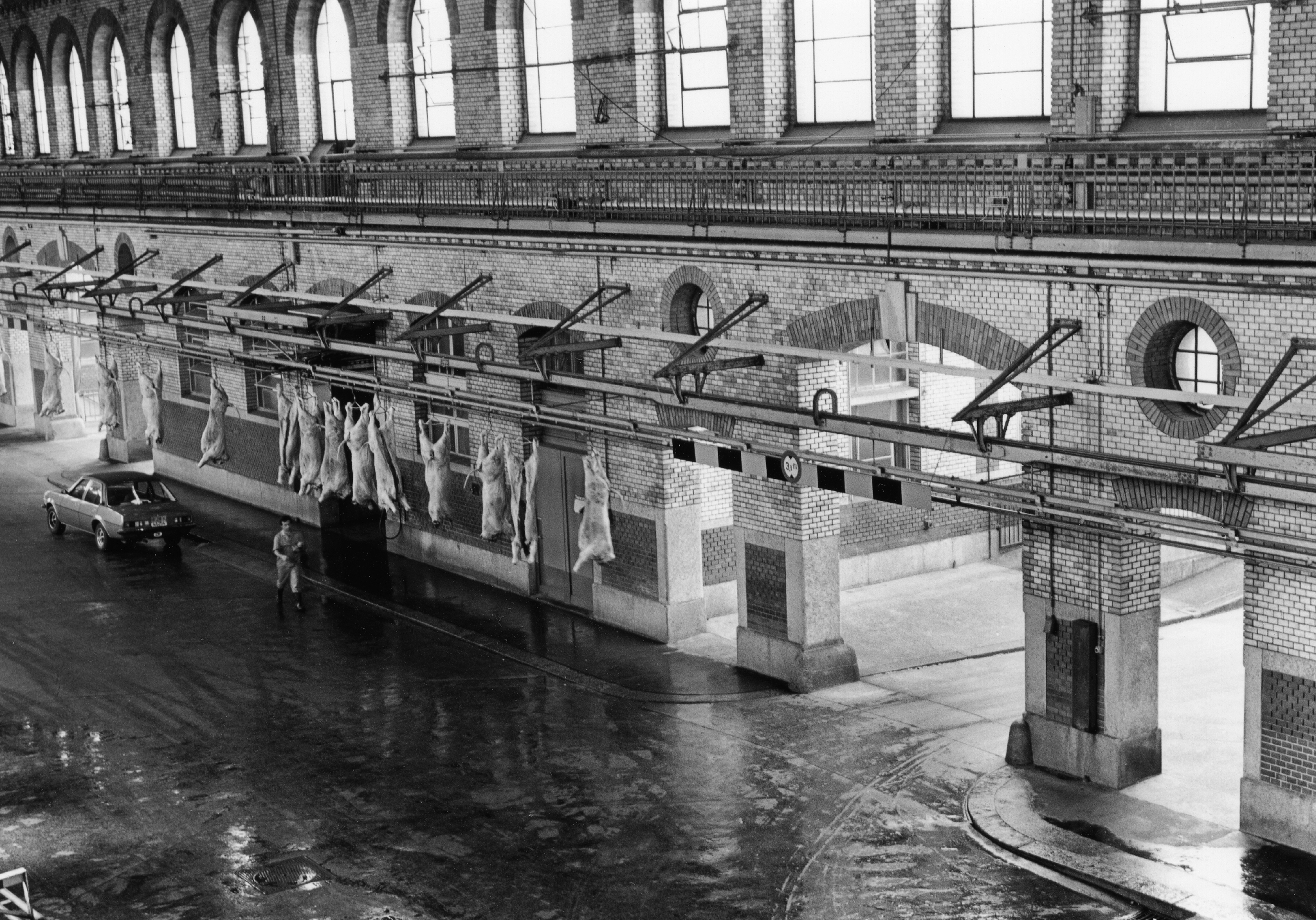 Animal bodies hanged in connection hall before delivery to meat processing, Schlachthof Zürich, 1980. Source: Baugeschichtliches Archiv der Stadt Zürich.