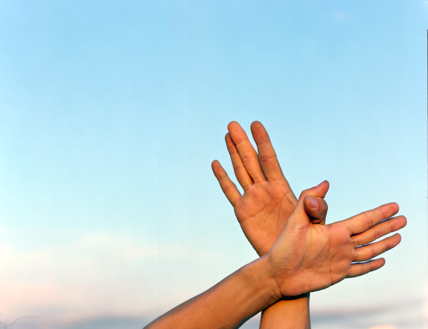 flight, photograph 2008