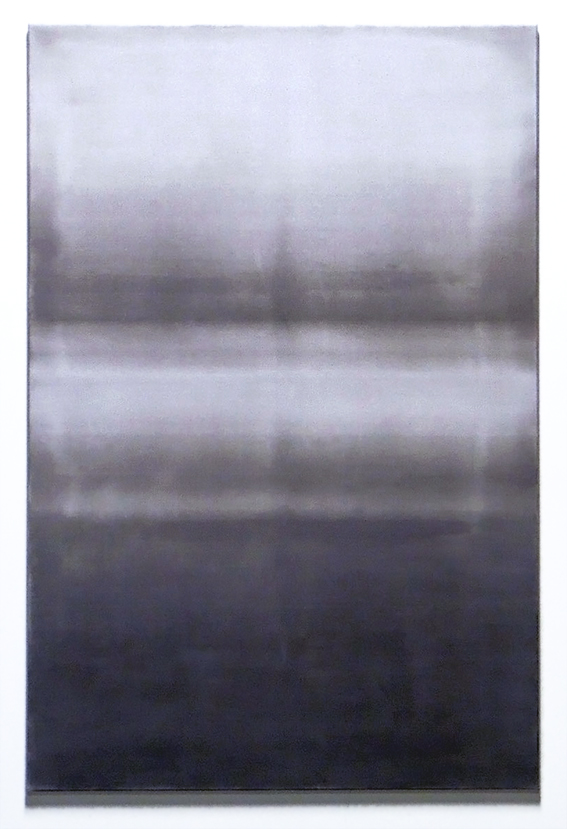 Untitled, 2016, bichromate gum and oil on canvas, 150 x 100cm