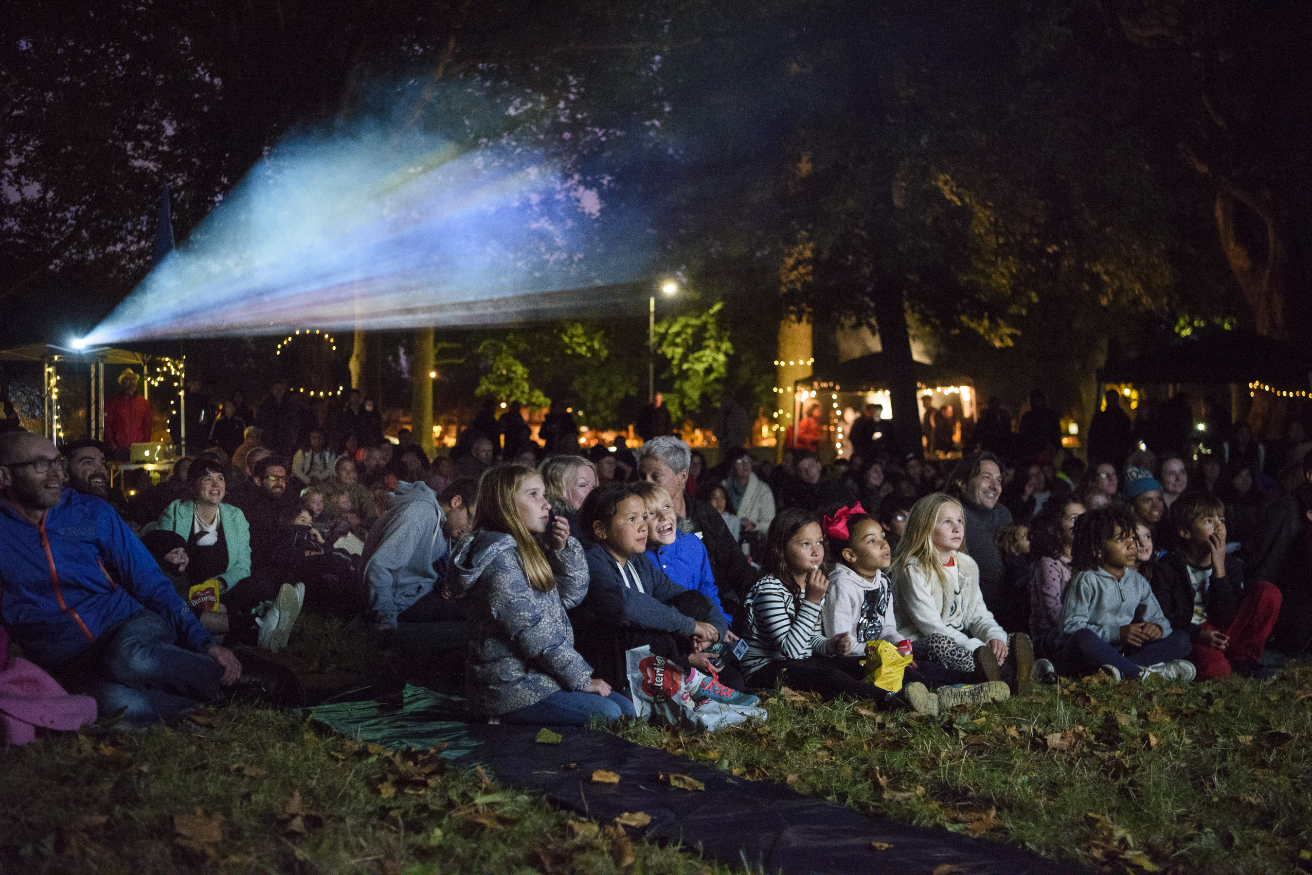 The Tree Circle Cinema, Millfields Park, 2017