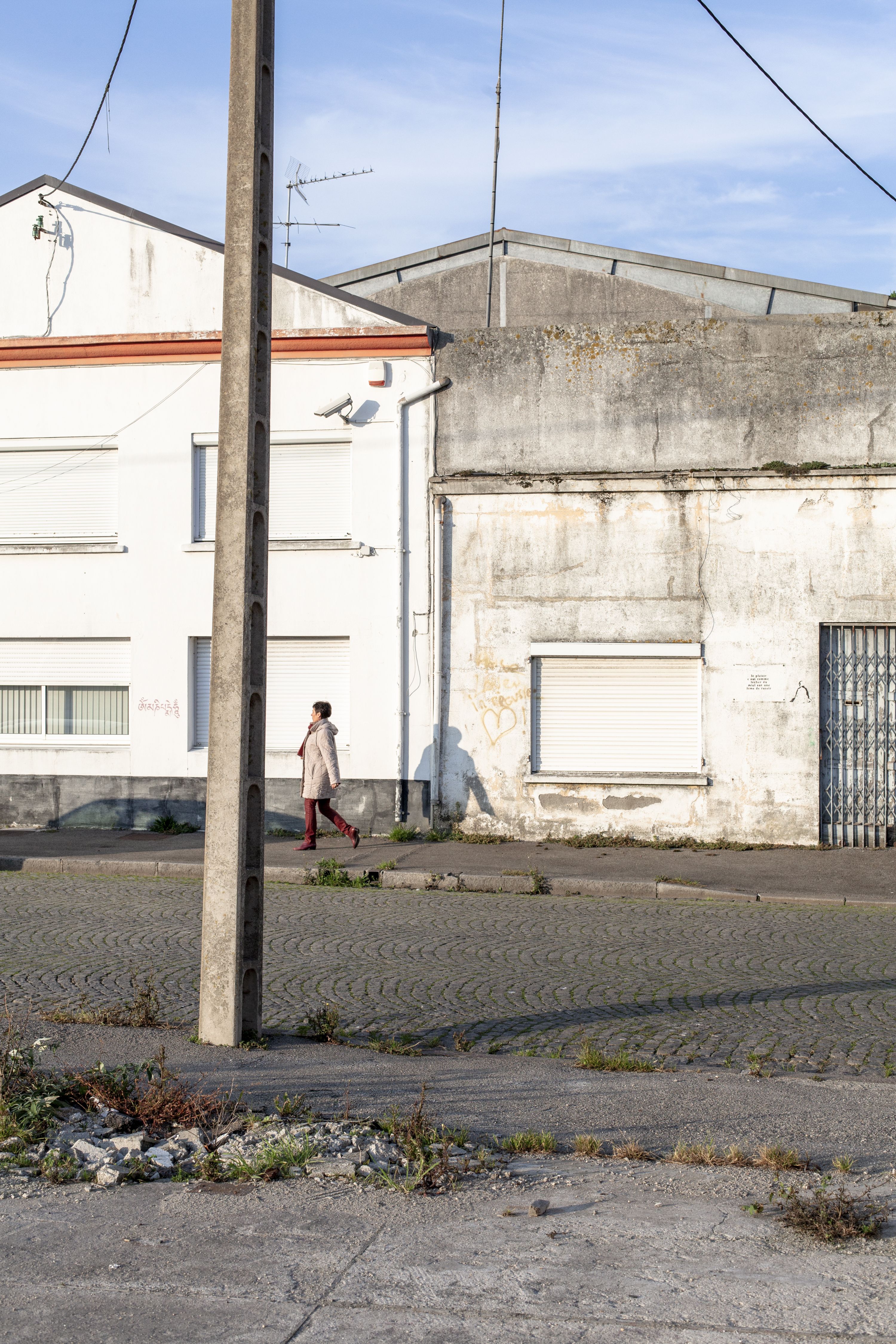 julien cregut-Lost Dogs-©juliencregut