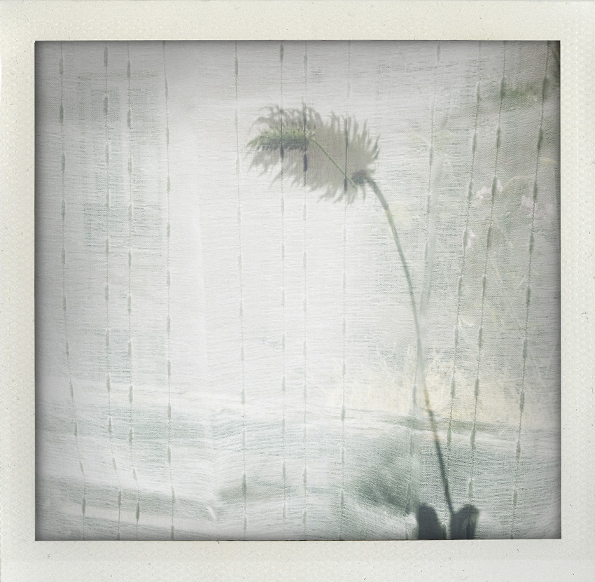 21 Mai 2020 Sans titre