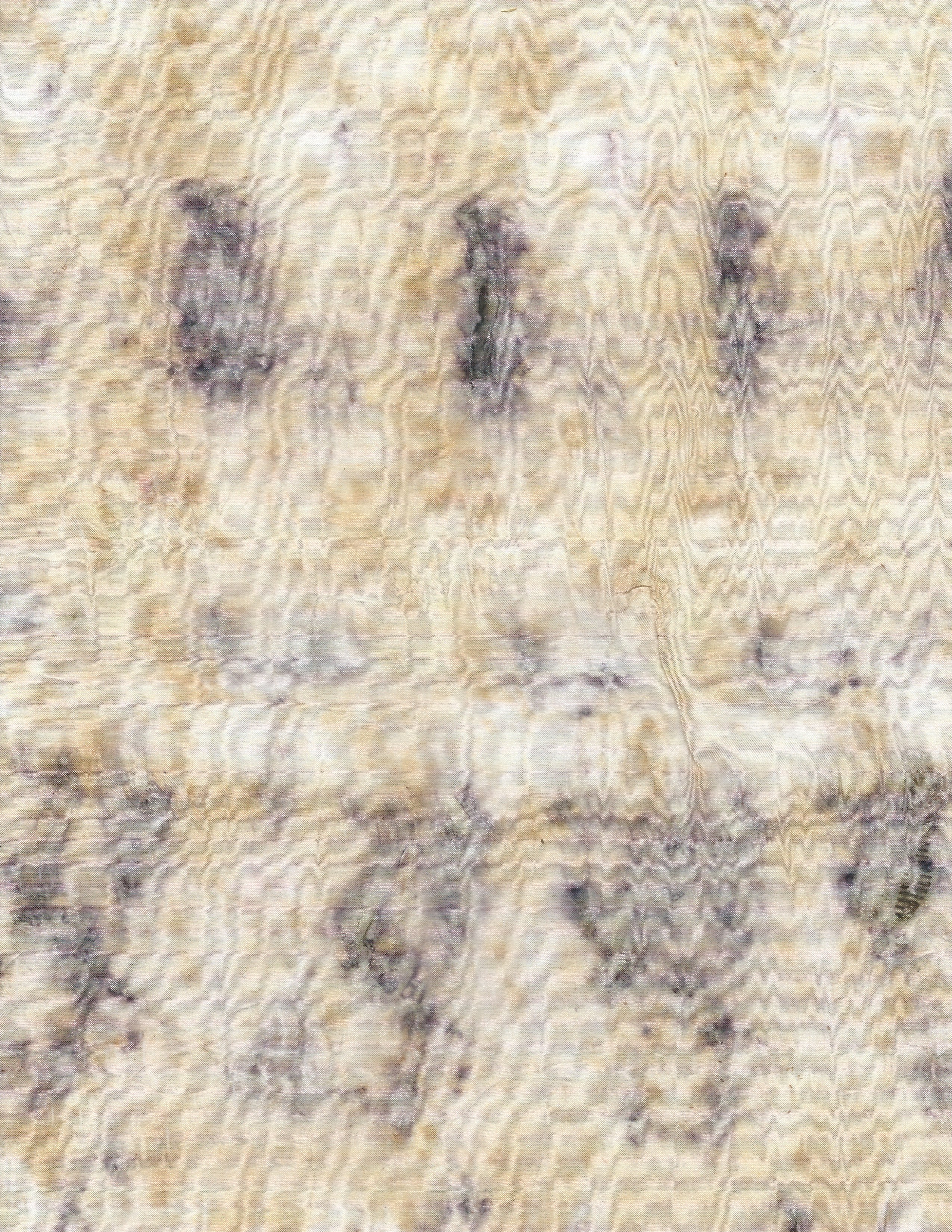 Onion and found objects on silk. 2020.