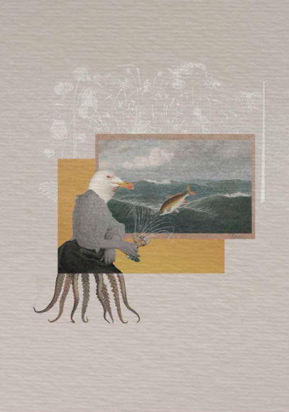  ilustraciones_sin_rumbo