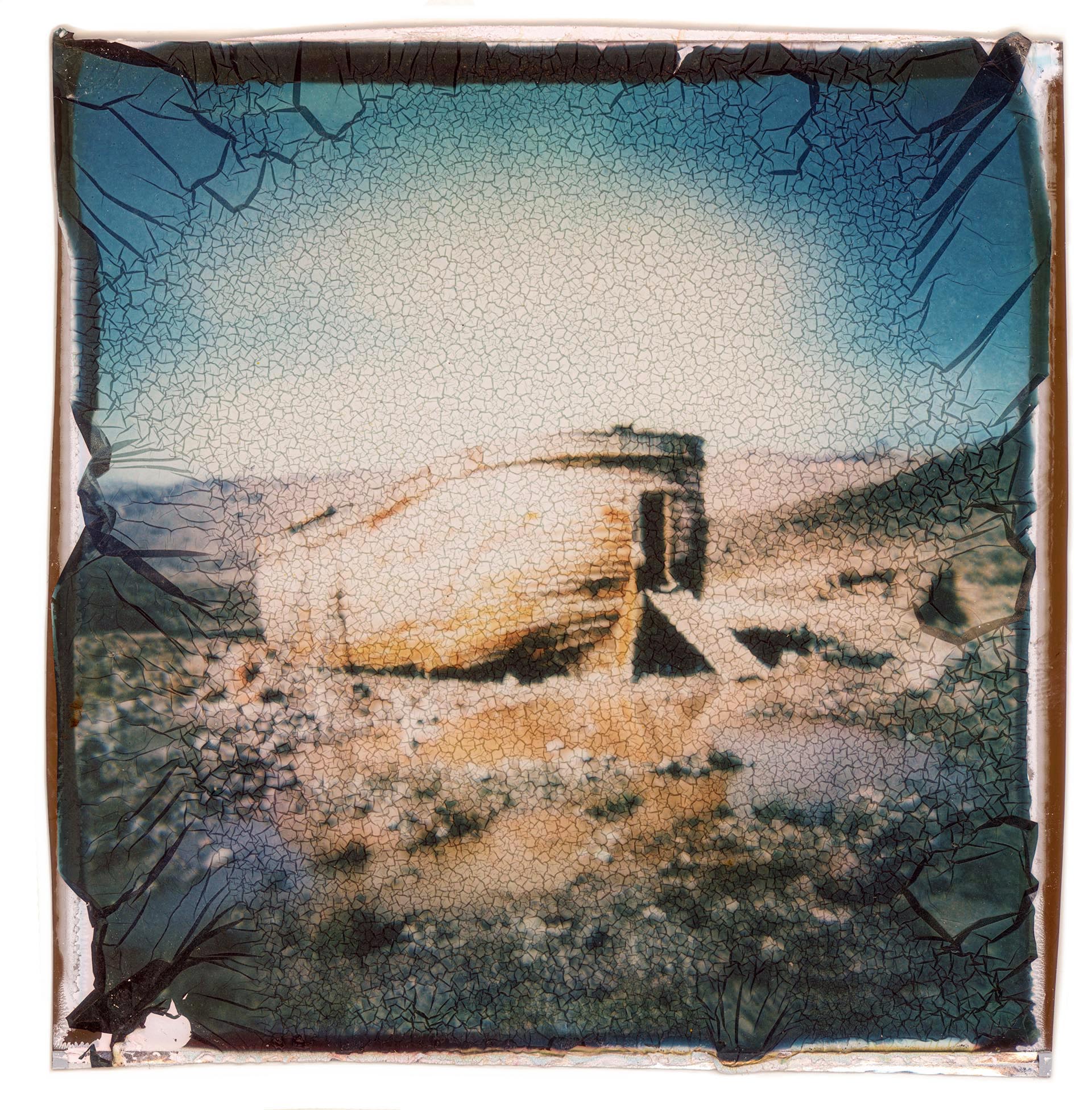 The Ark After the Flood