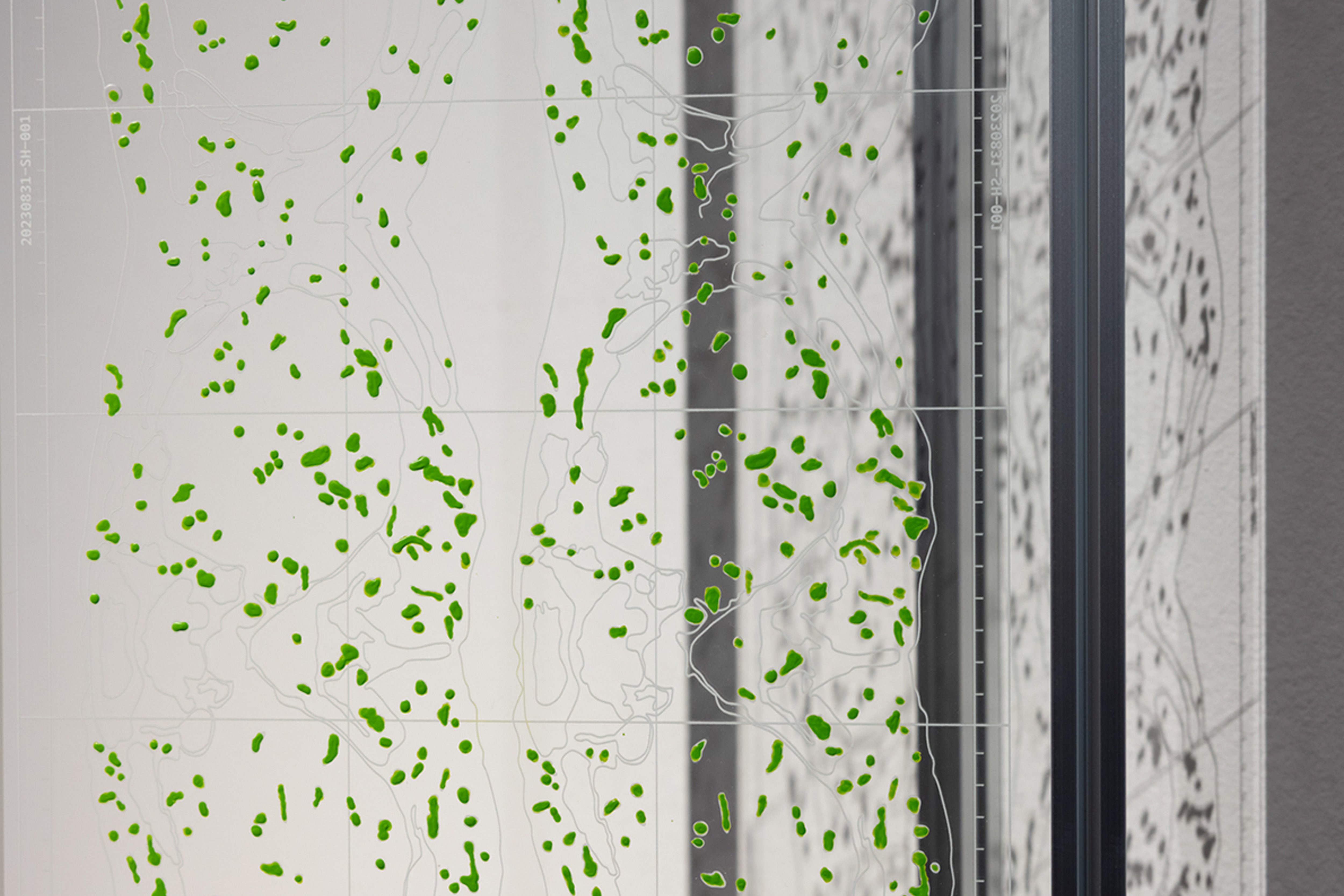 Bitchondrial Single-layer Imaging (2023)