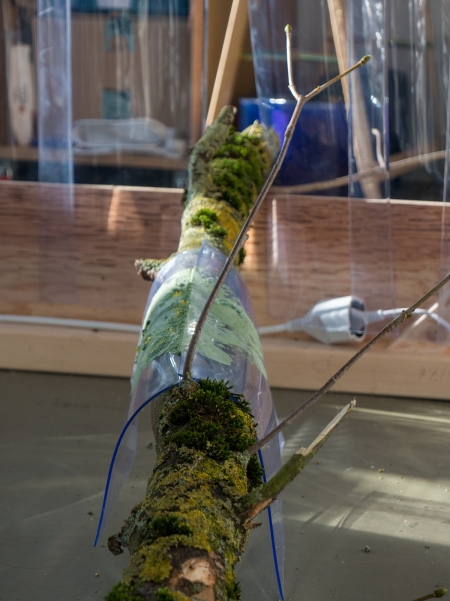 Installation view: Hot House (Jan van Eyck Academie)