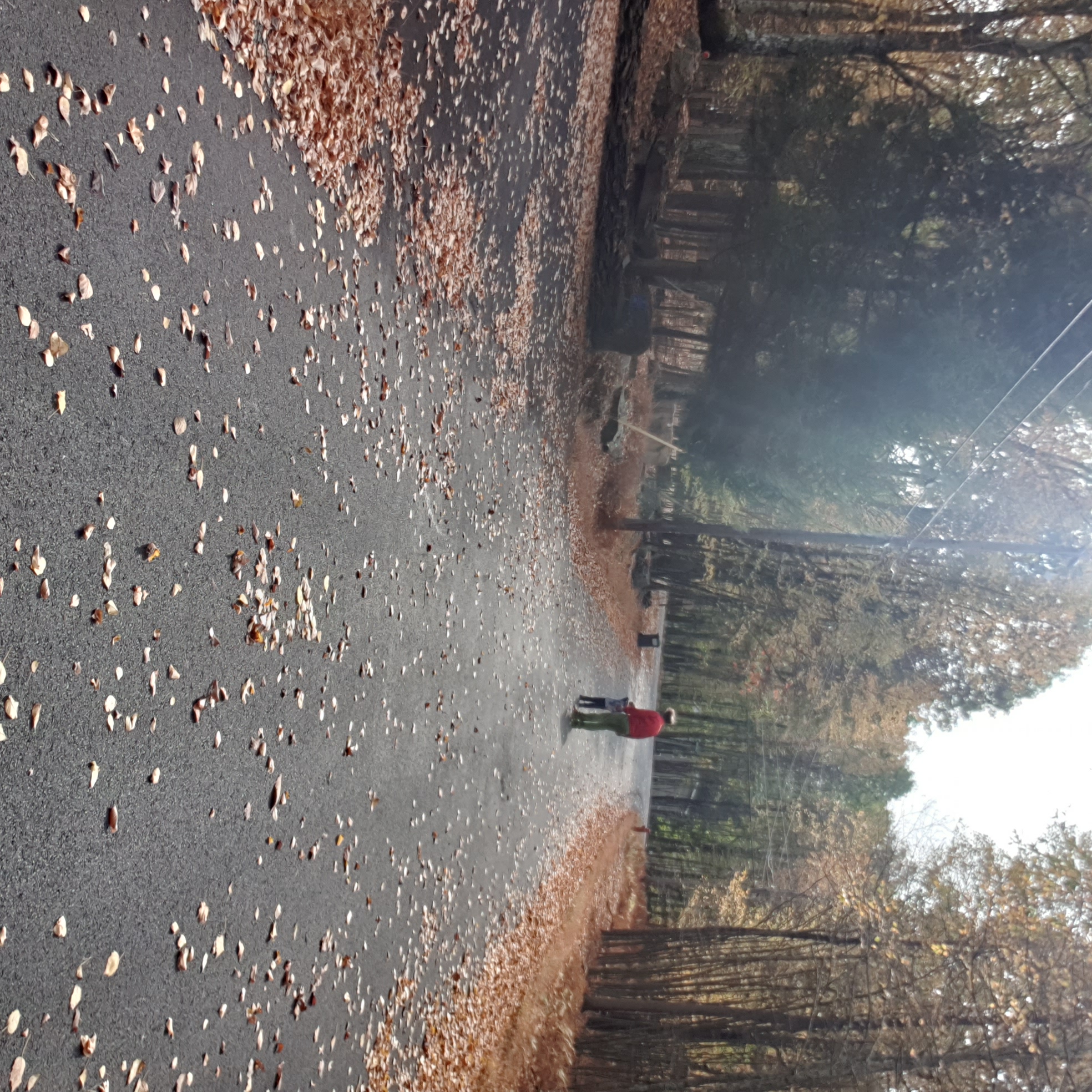 An asphalts road lined by forest with brown leaves scattered across it. In the distance an adult male in a red jacket can be seen talking to a small child.