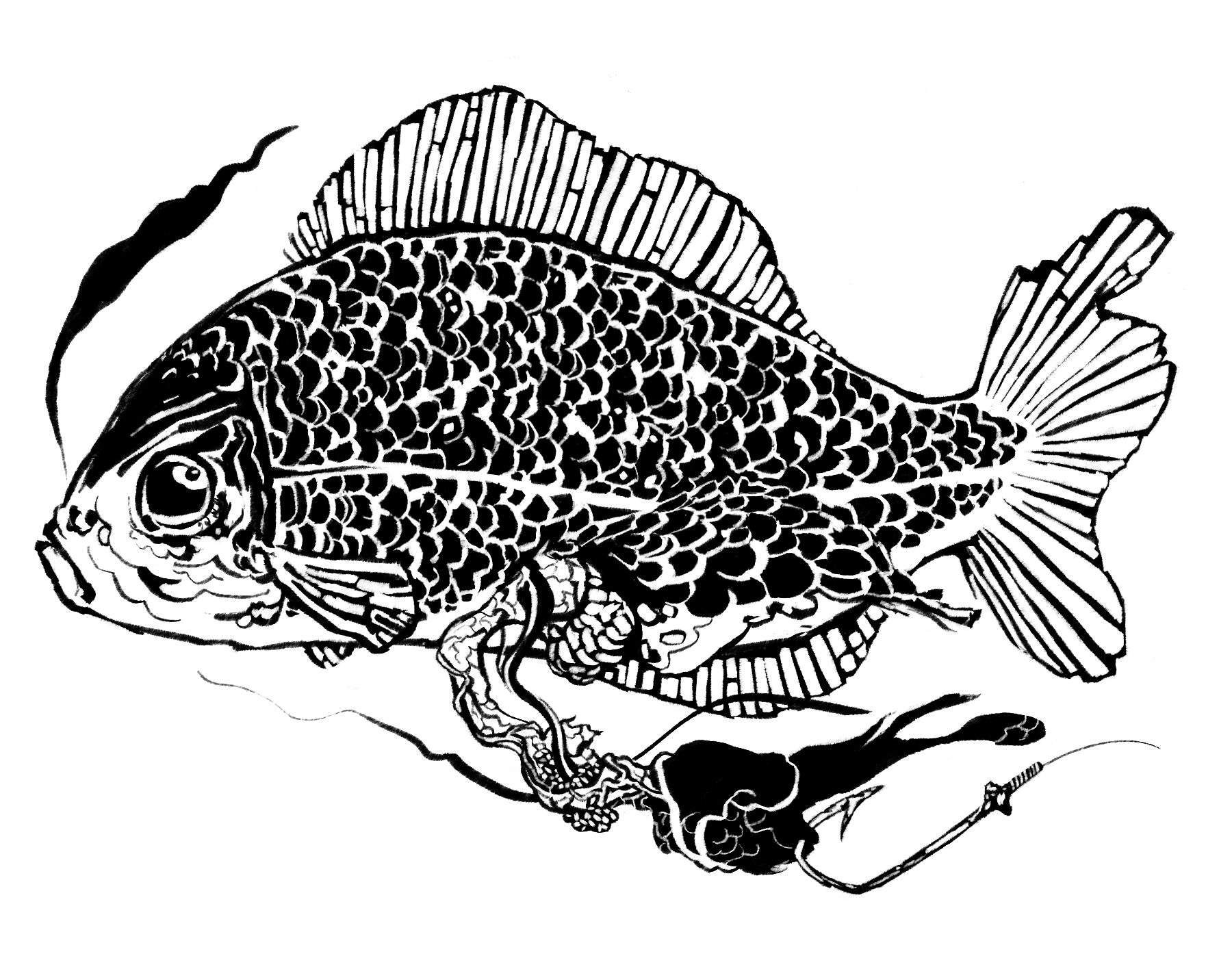 con't cry fish before they're caught